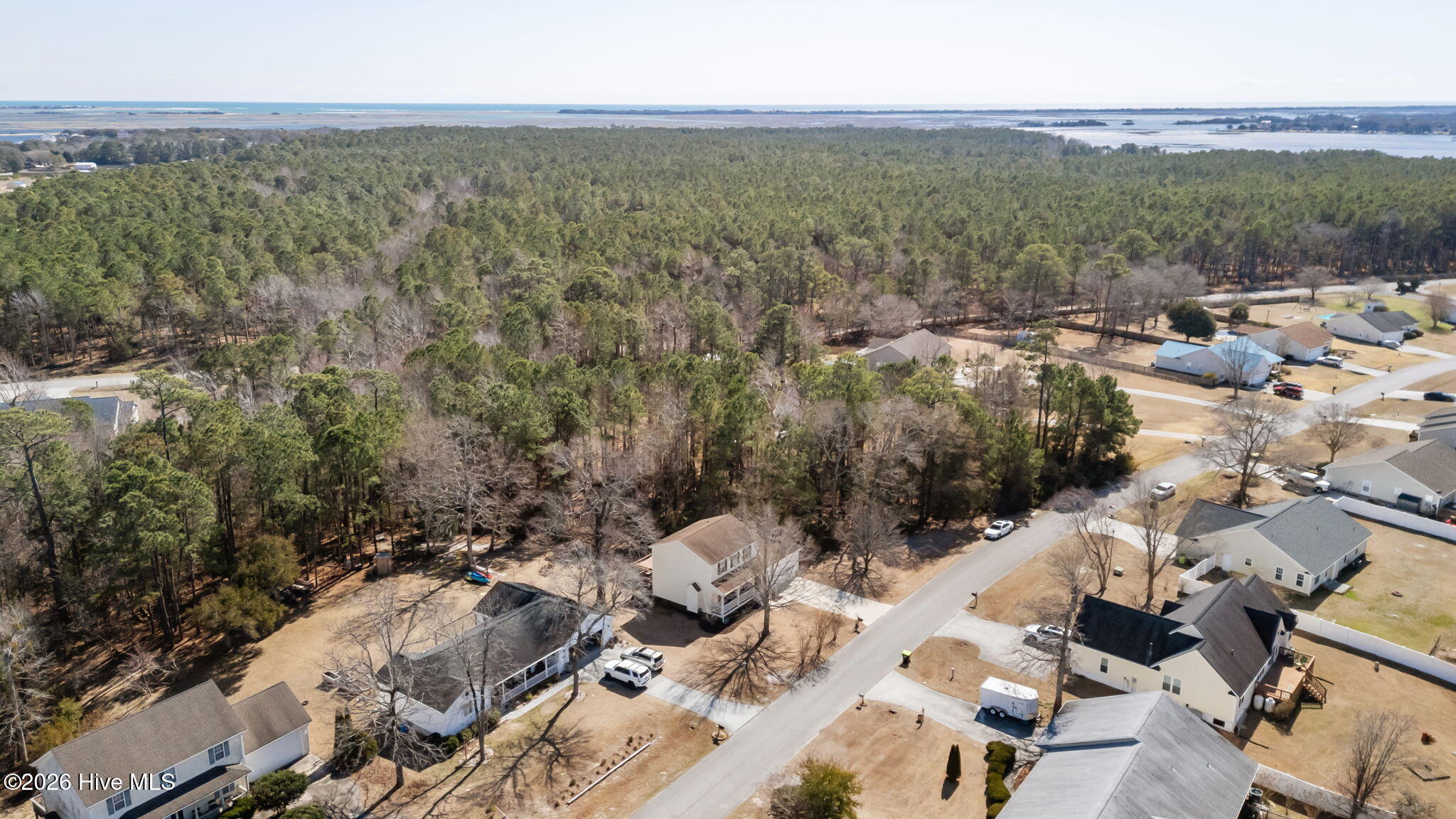 100558206 | Photo 46