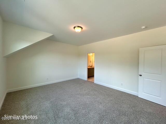 100535457 | Photo 47