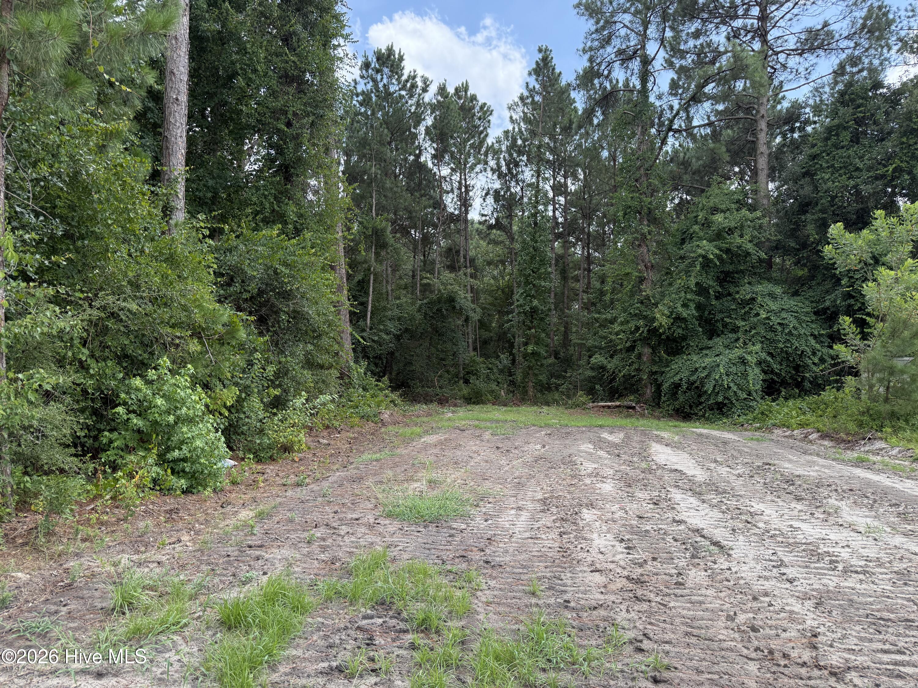 202 Grays, Elizabethtown, North Carolina, 0 ,Residential Lot,For sale,Grays,100588966