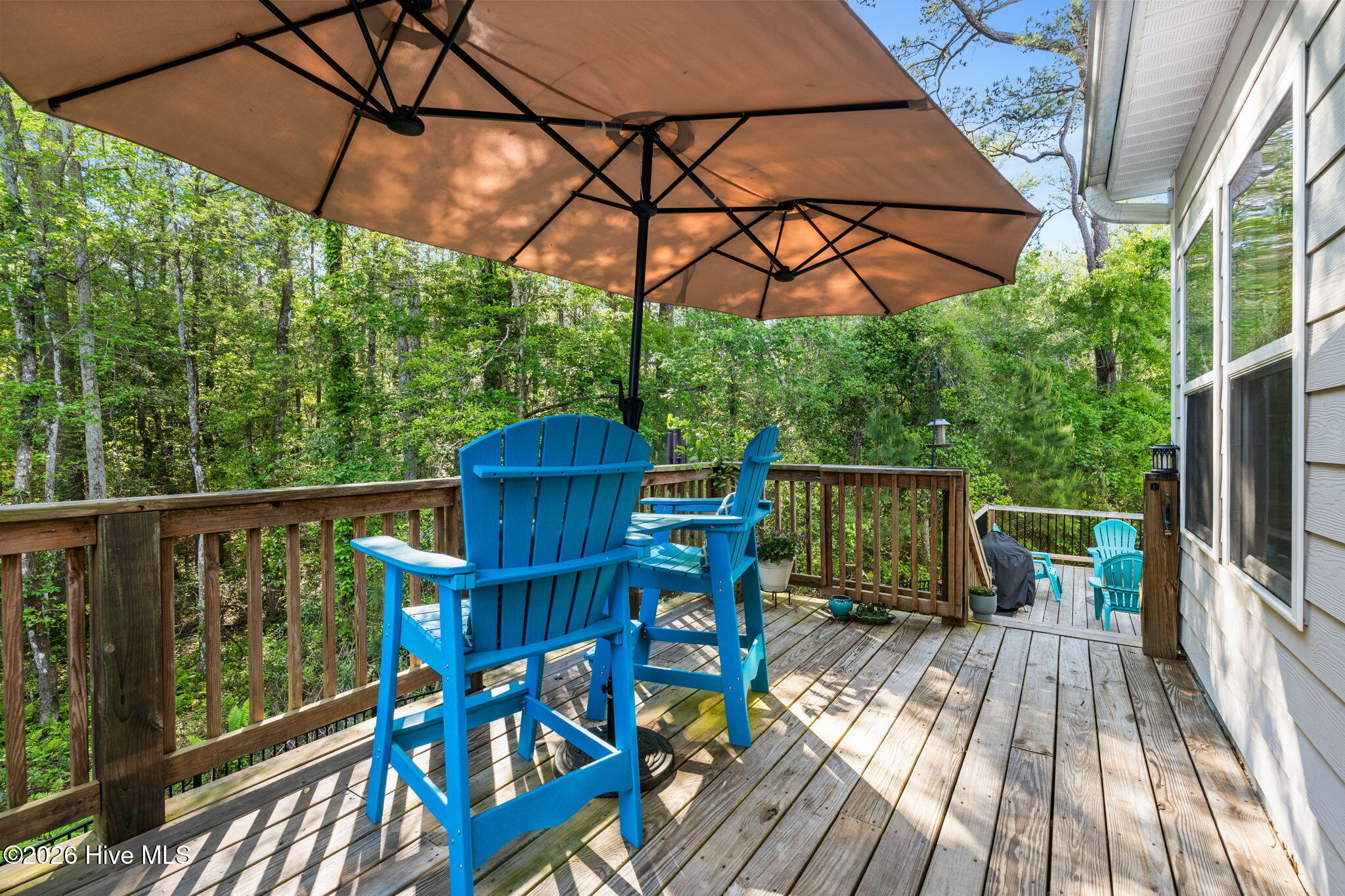 100567618 | Photo 37