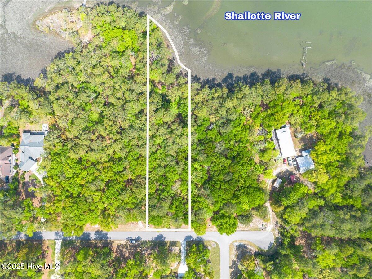 100507820 | Photo 24