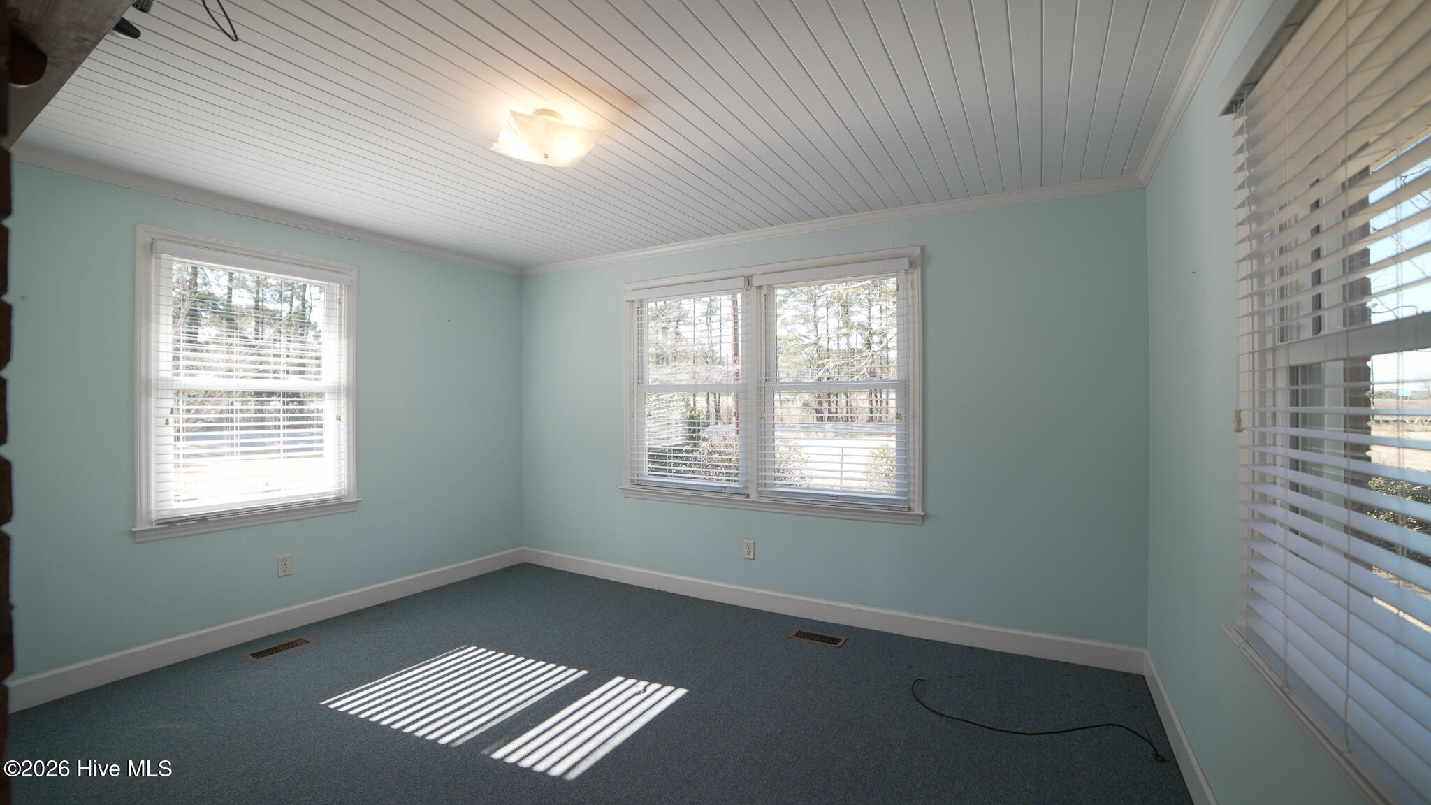 100554876 | Photo 42