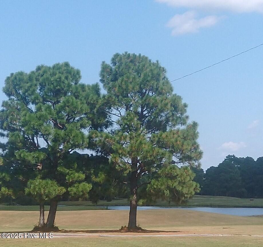 206 Chateau Drive,New Bern