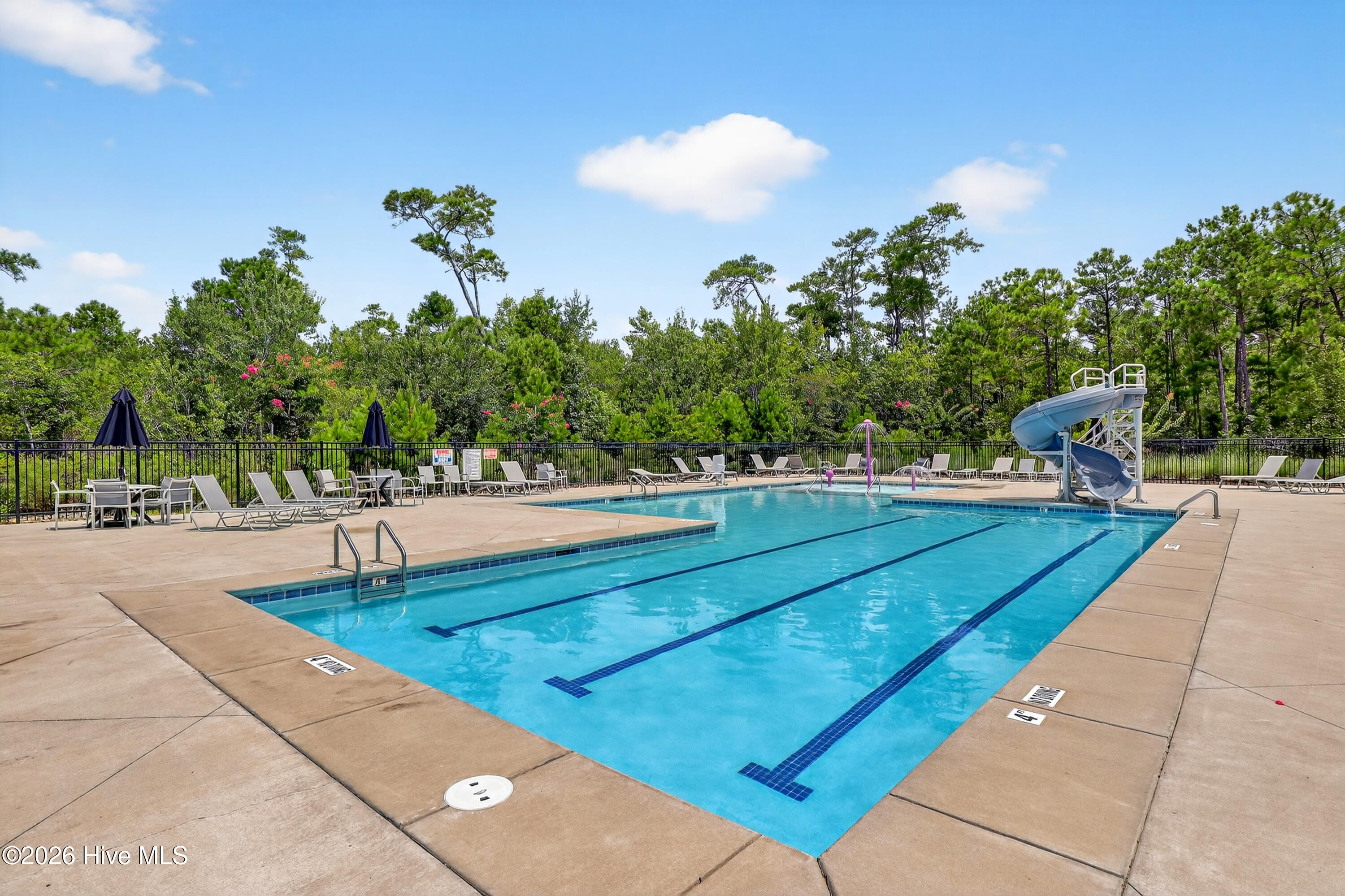 100558429 | Photo 51