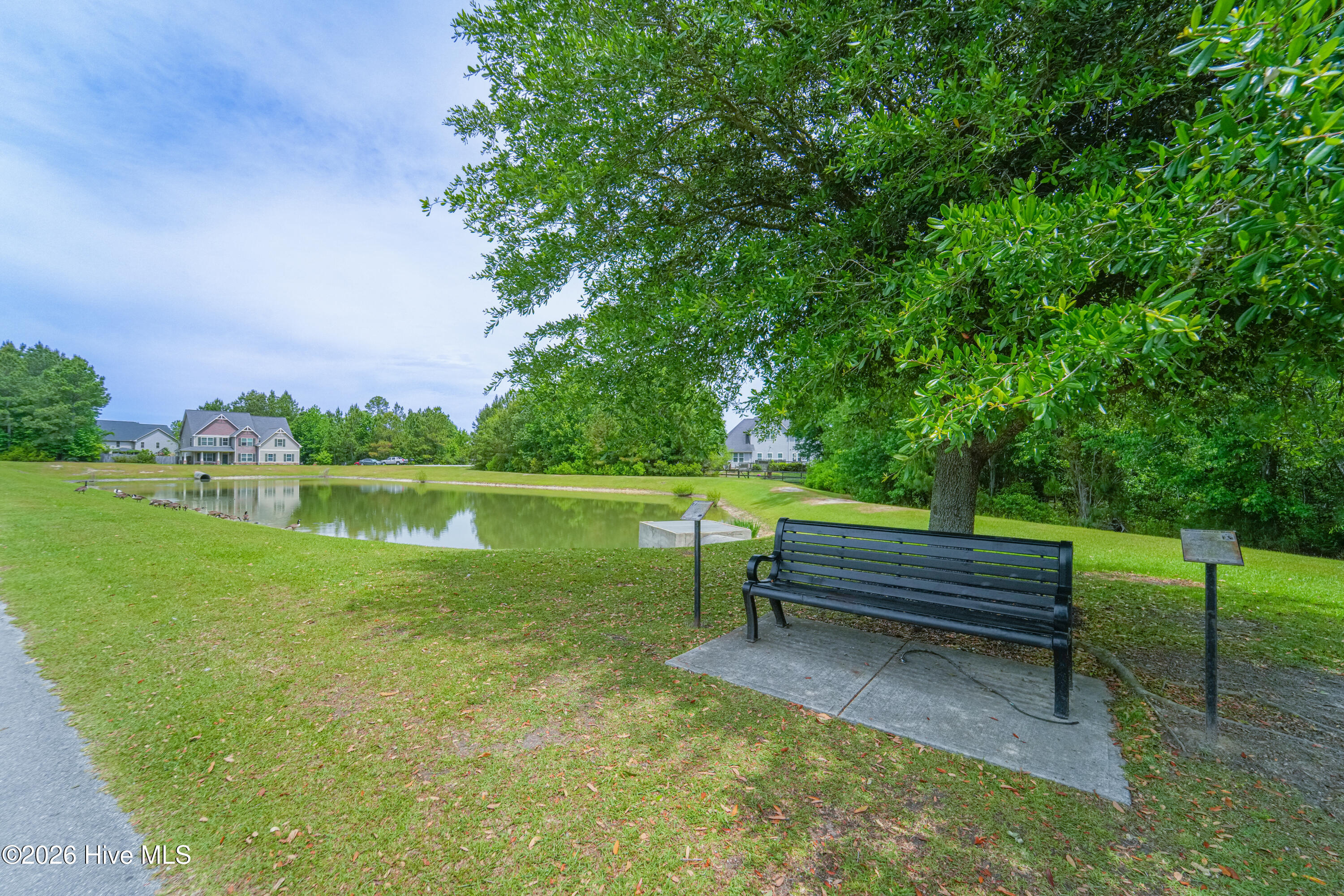 100570478 | Photo 49