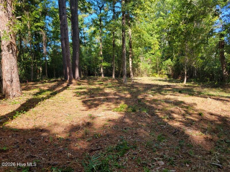 Land for sale at 190 Cedar Crk Rd, Newport, NC 28570 | MLS# 100606657