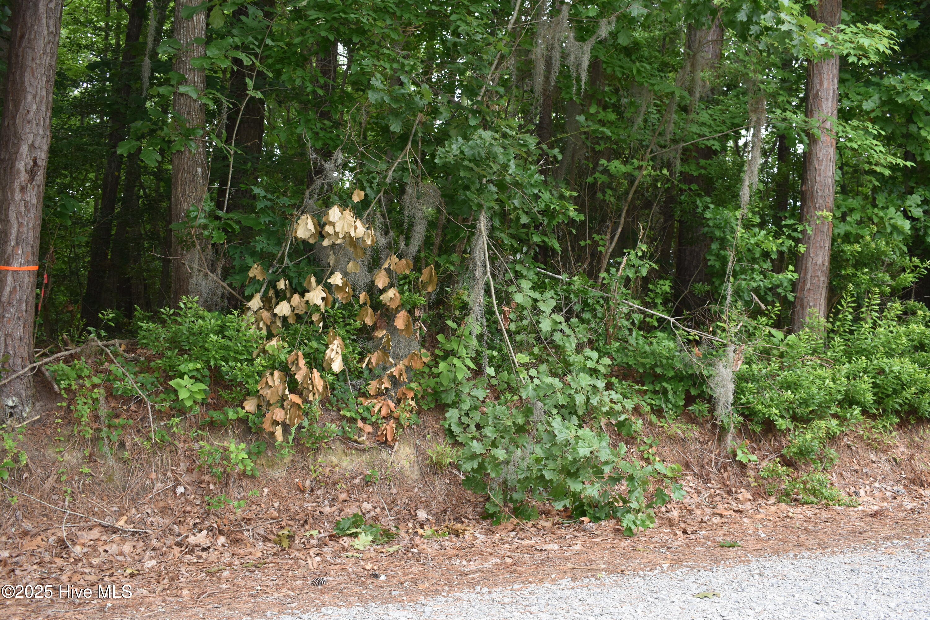 Homes for sale in Blounts Creek, NC | Lots 2 & 3 River Rd, Blounts Creek, NC 27814 | MLS# 100512255