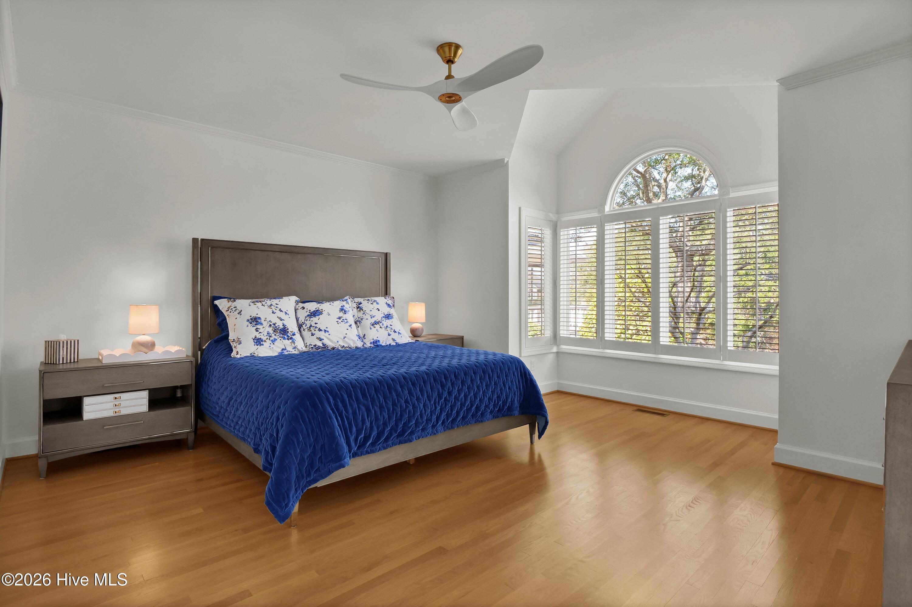 100552797 | Photo 23