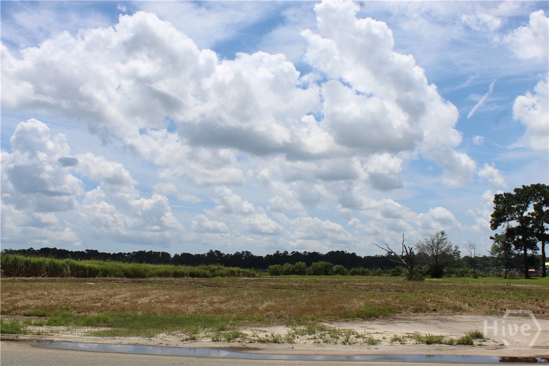 24 Jerico Marsh Lot 24, Midway, Georgia, 0 ,Land,For sale,Jerico Marsh Lot 24,SA332853