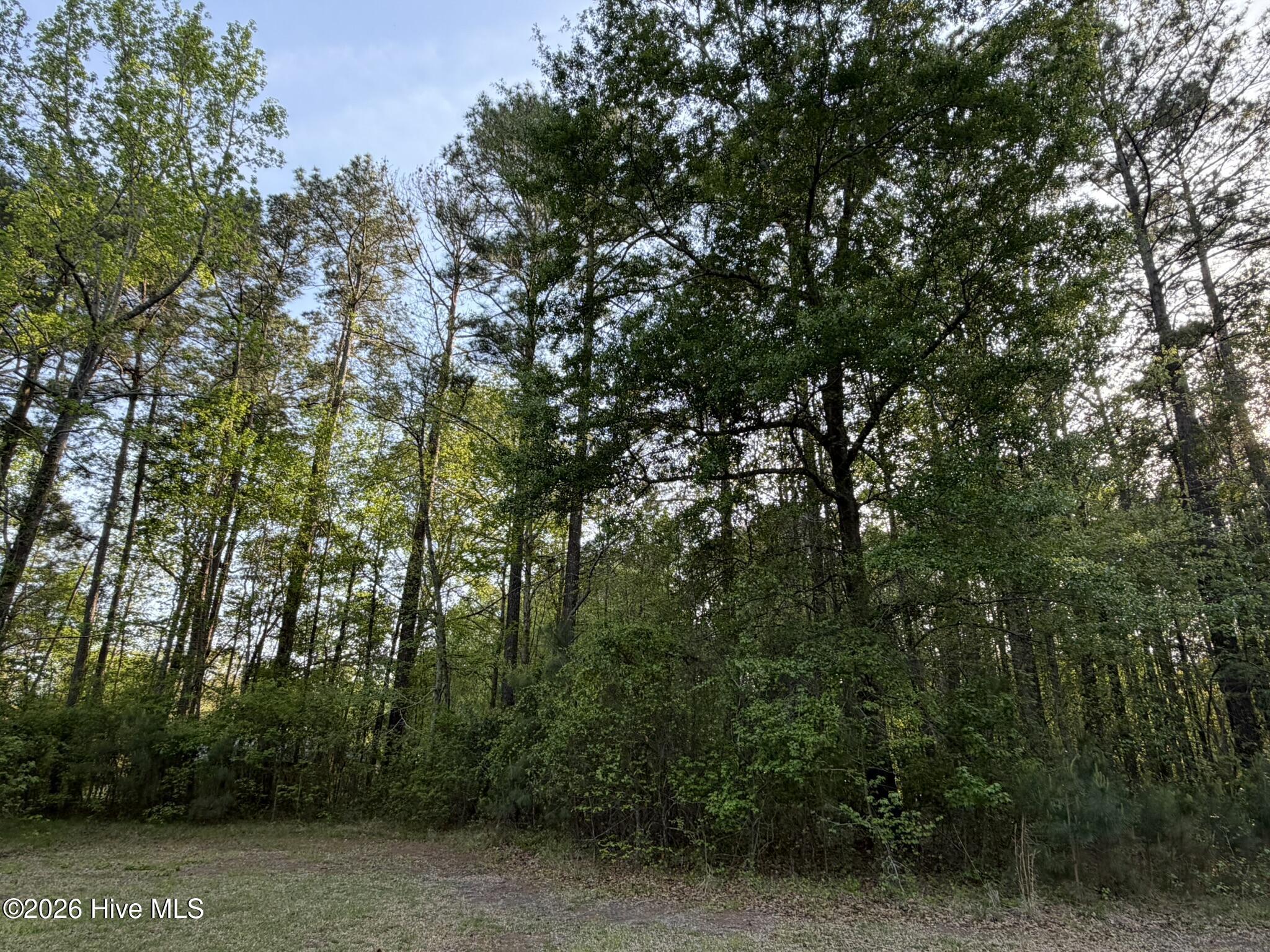 100565225 | Photo 70