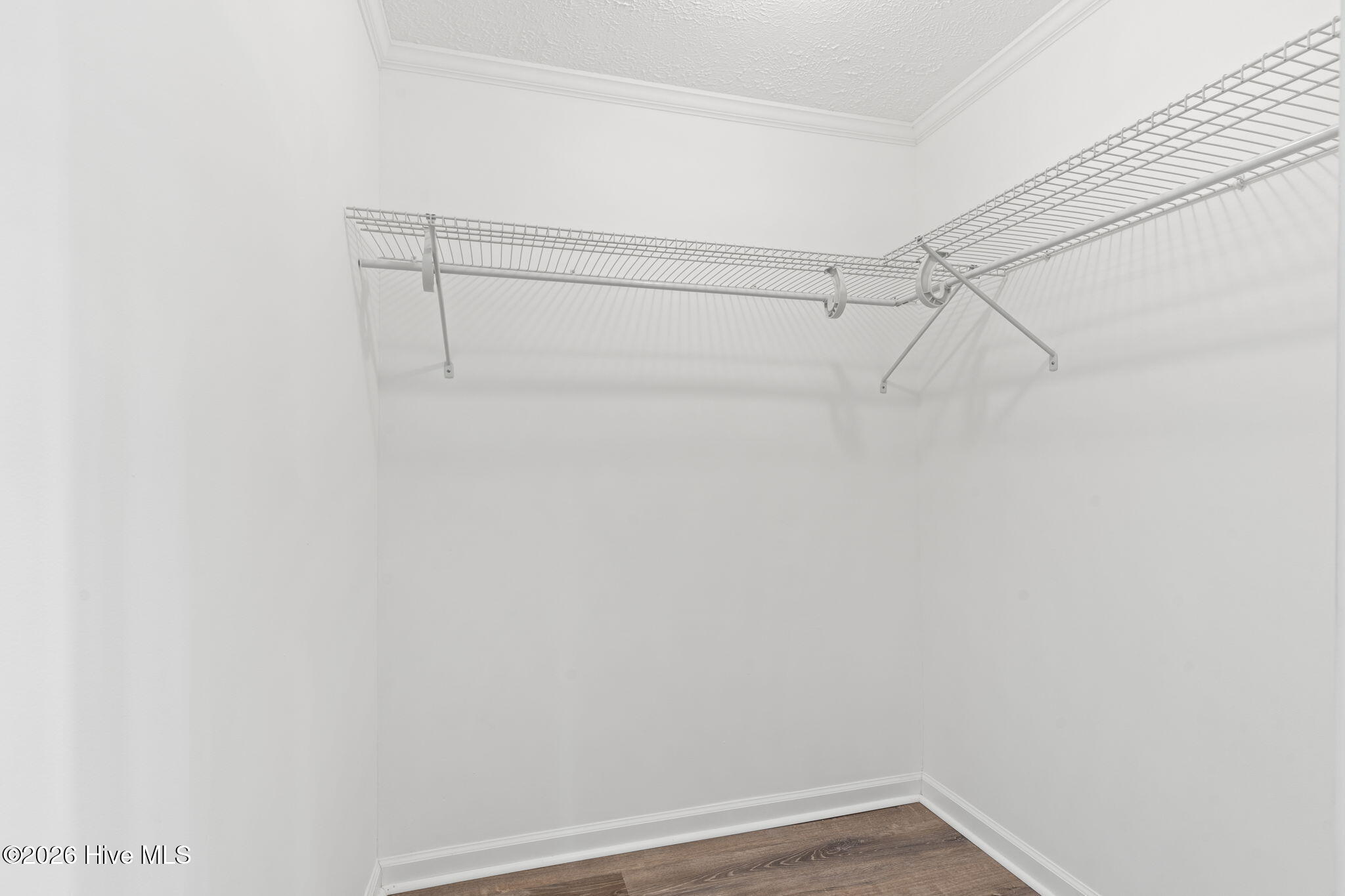 100551725 | Photo 50