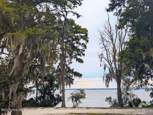 100510078 | Photo 67