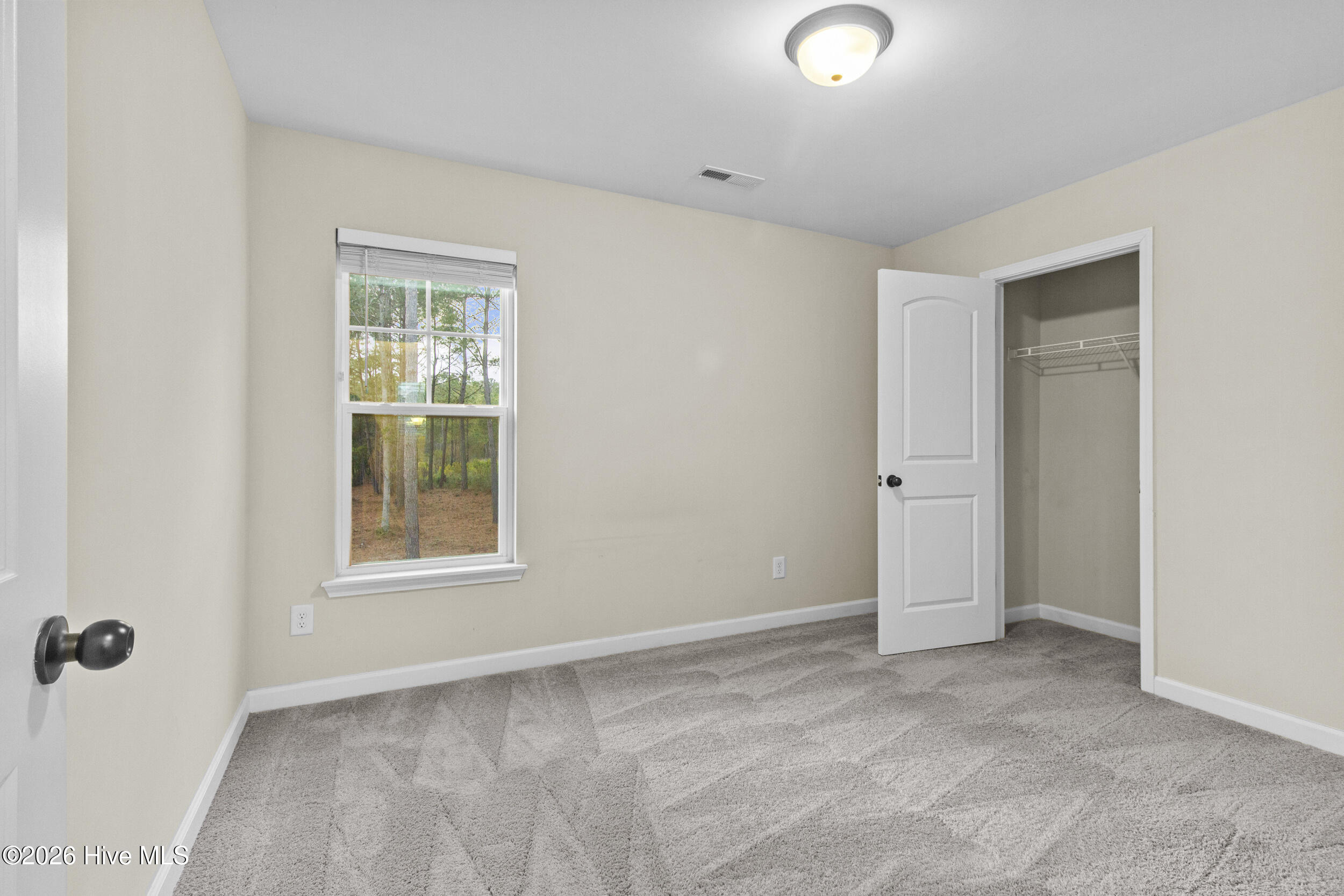 100552565 | Photo 16