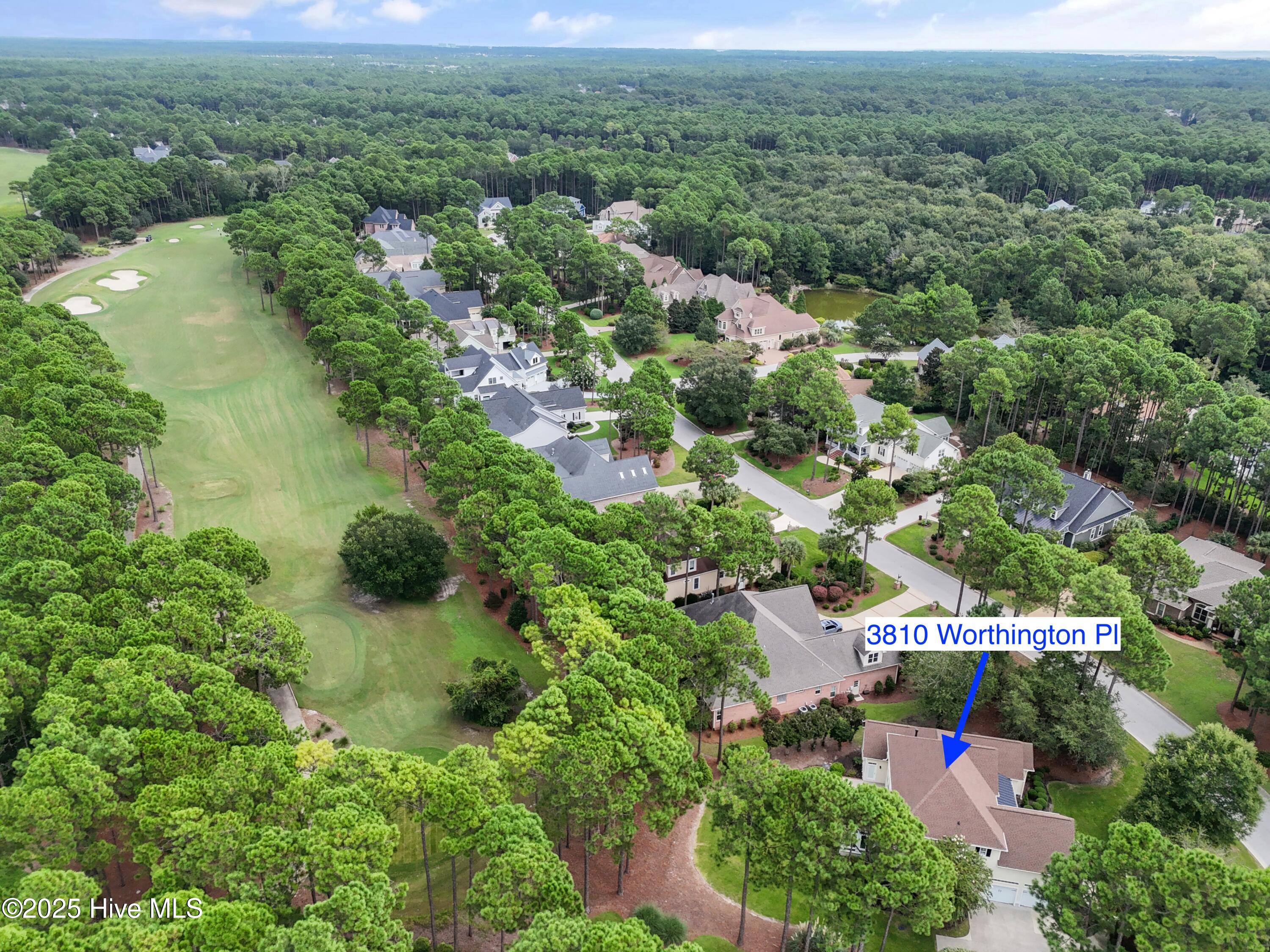 100526720 | Photo 52