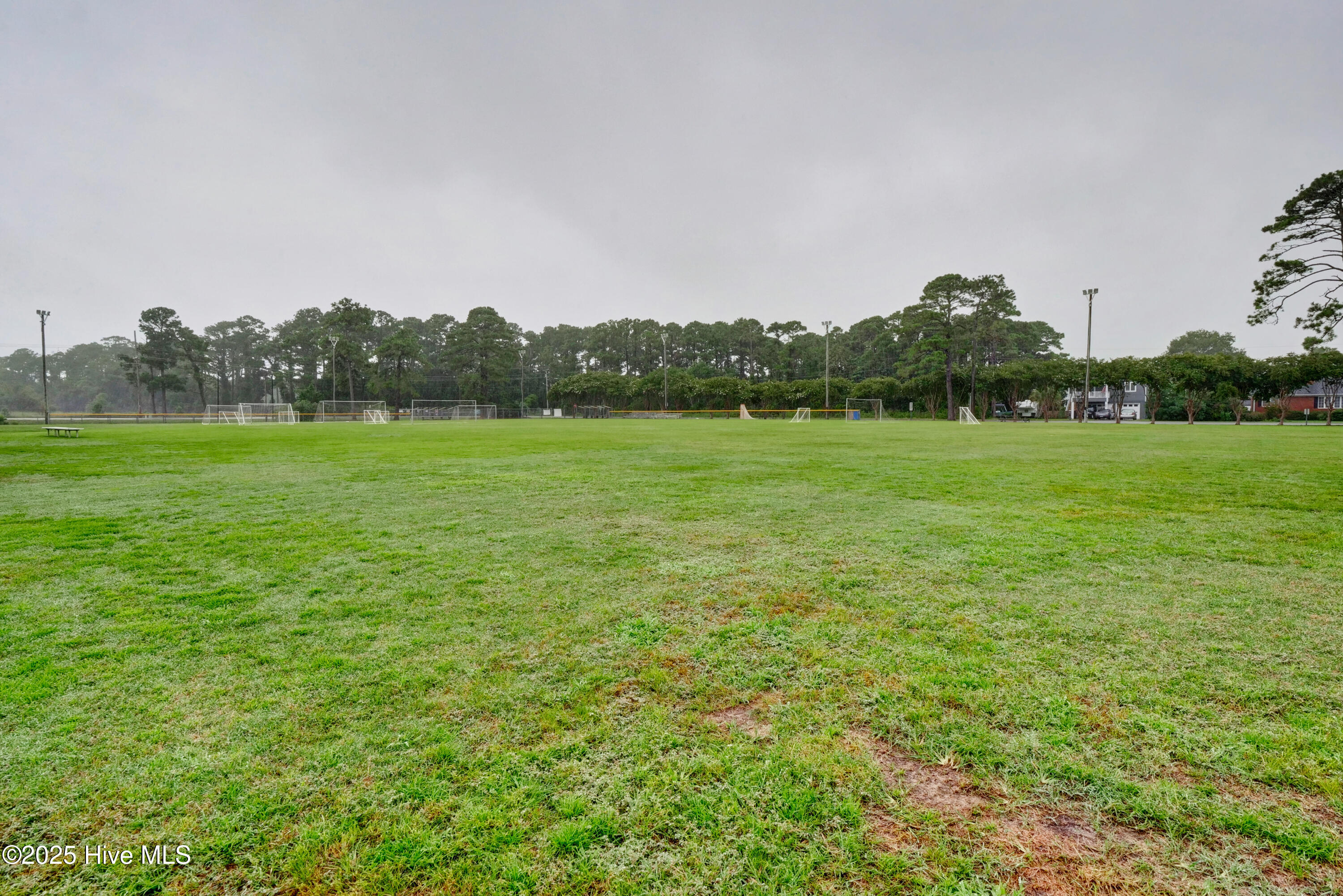 100545866 | Photo 52