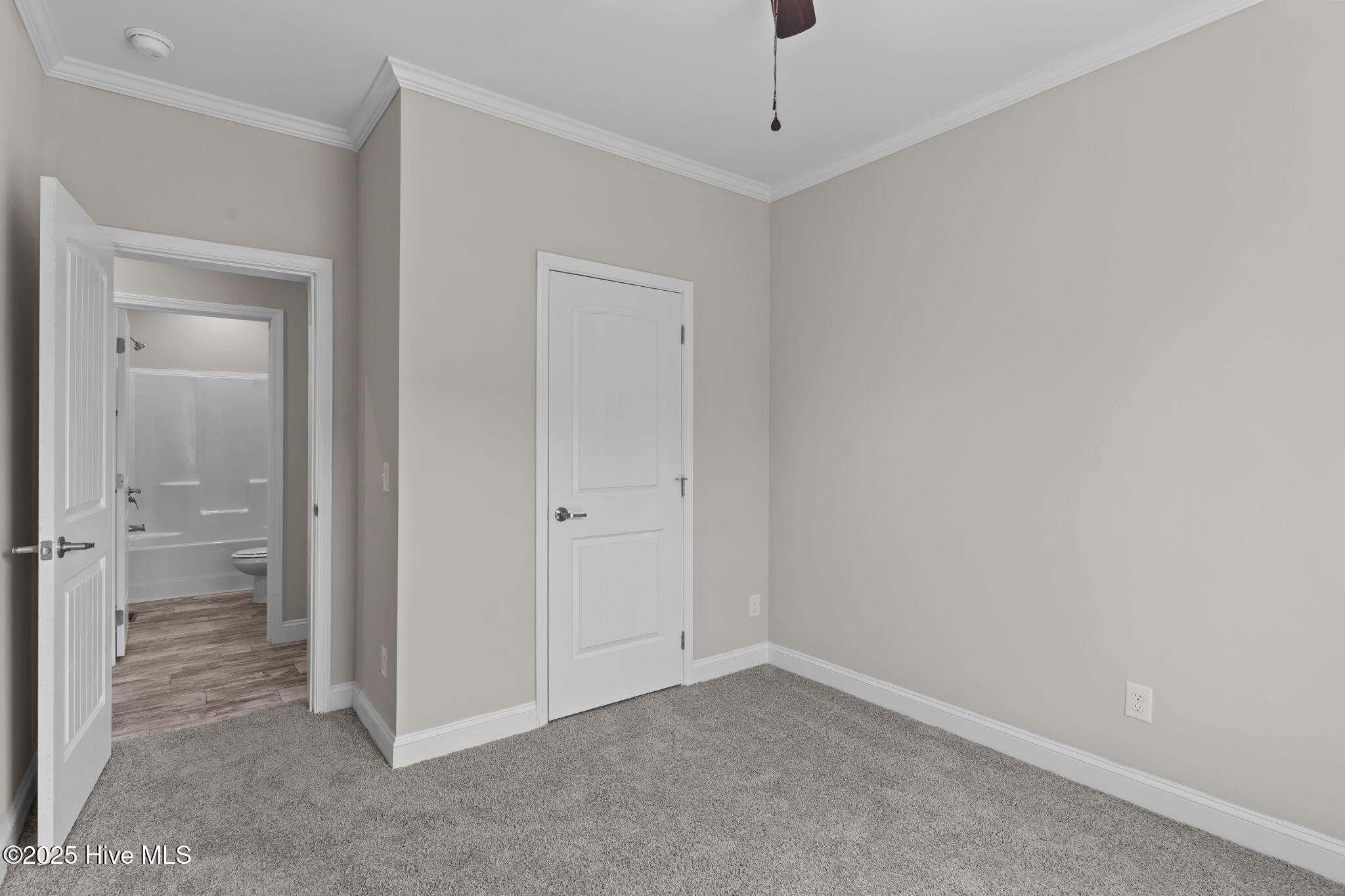 100529726 | Photo 31