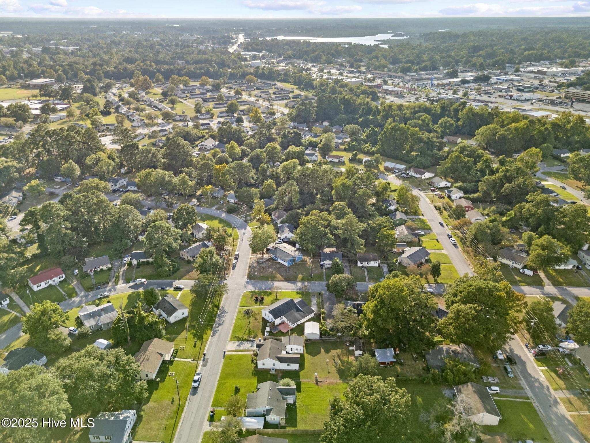 100532196 | Photo 42