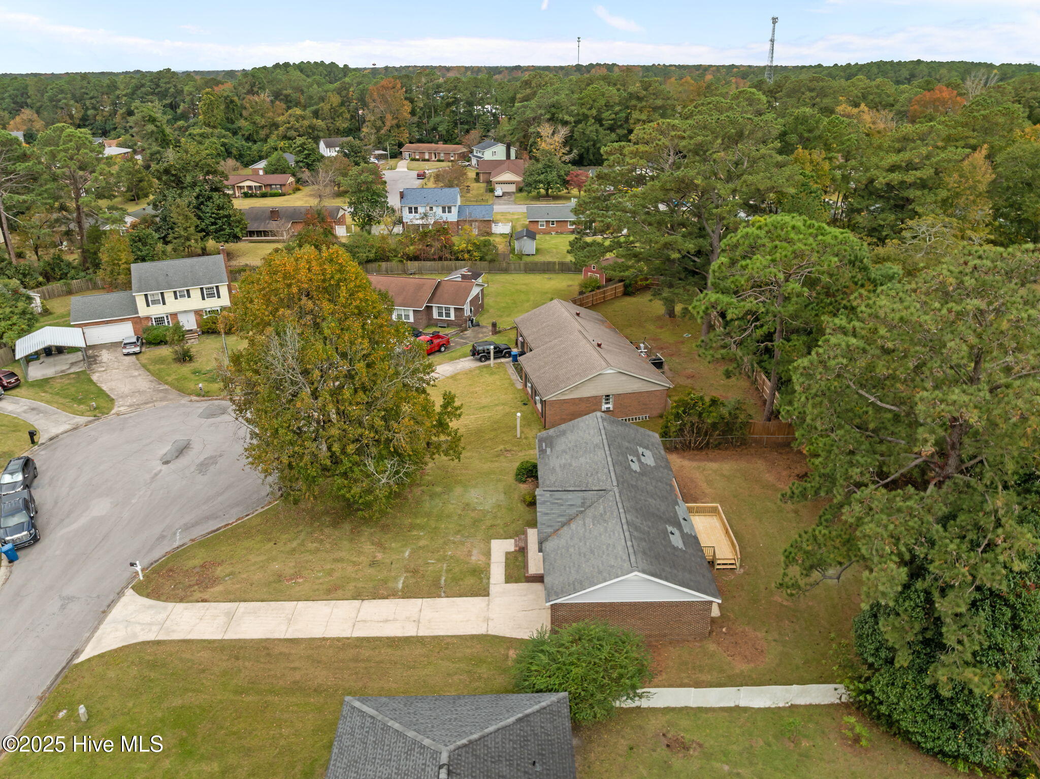 100540509 | Photo 44