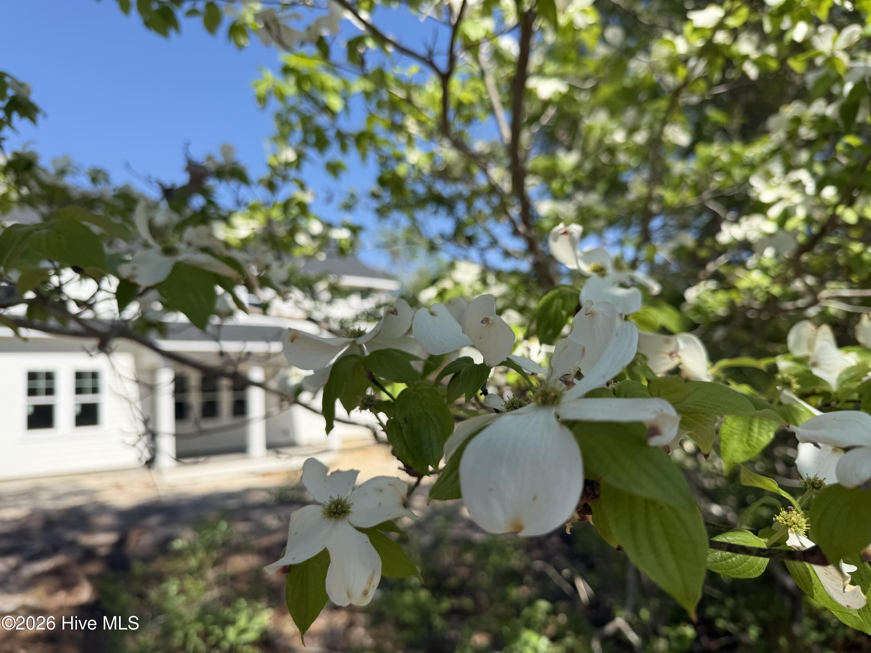 100568393 | Photo 25