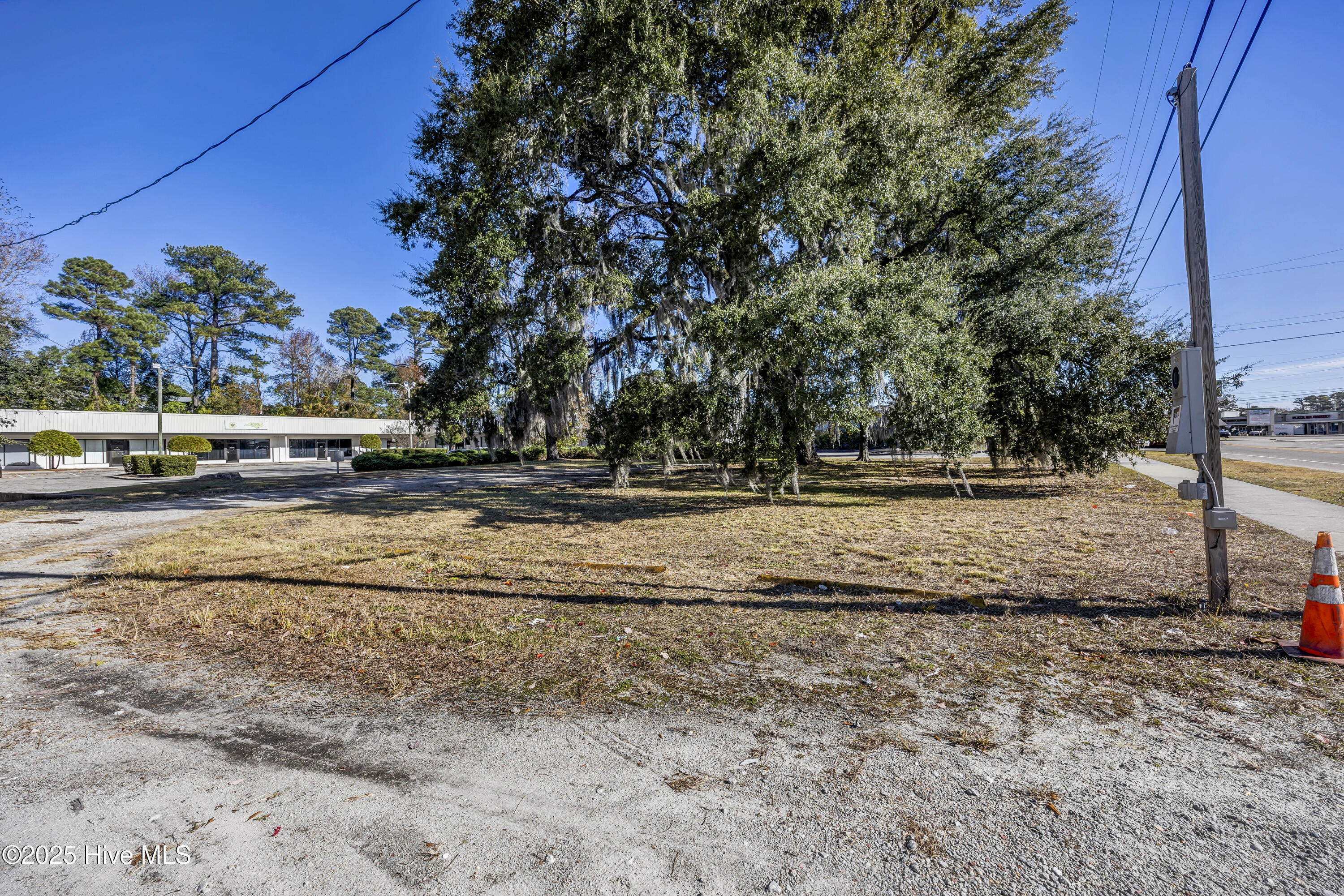 100545529 | Photo 10