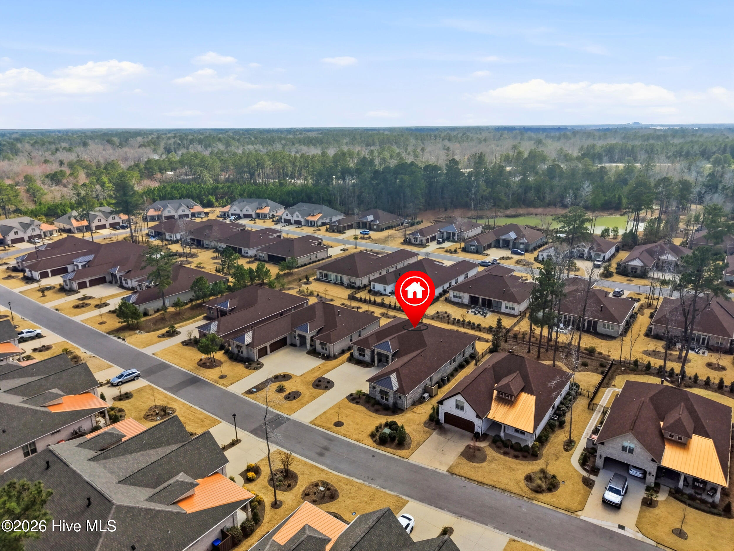 100560979 | Photo 51