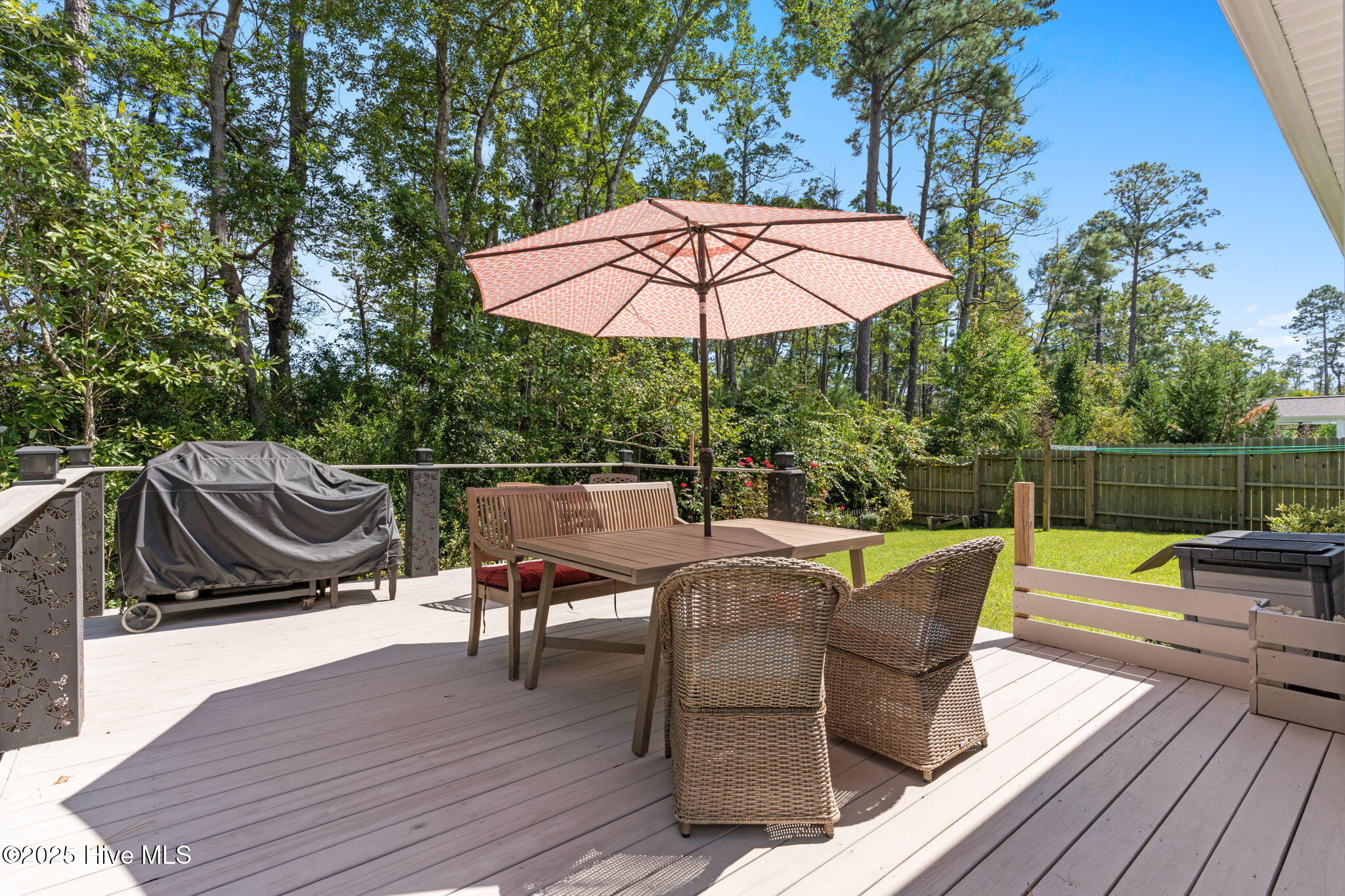 100531628 | Photo 37