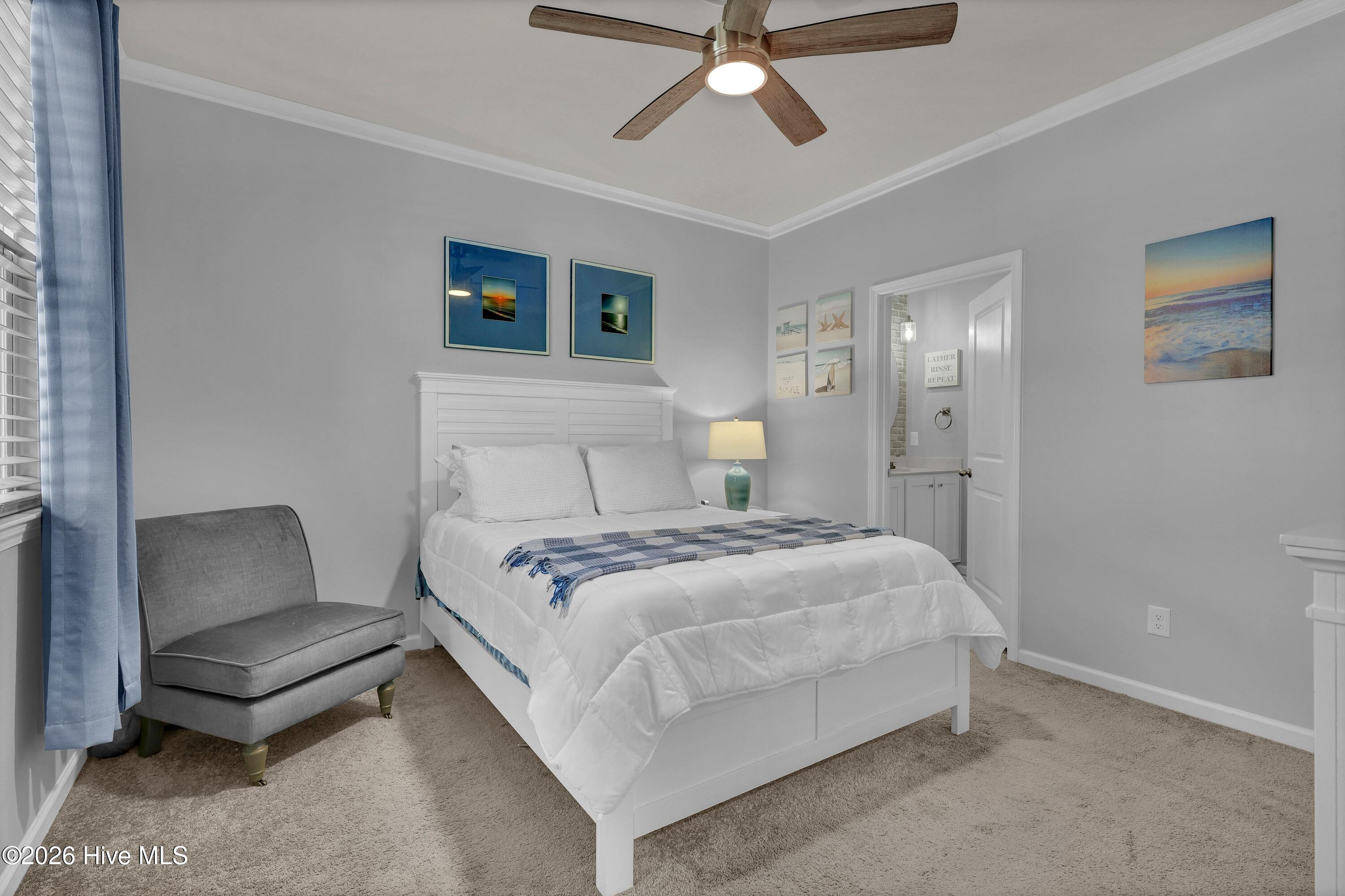 100567847 | Photo 15