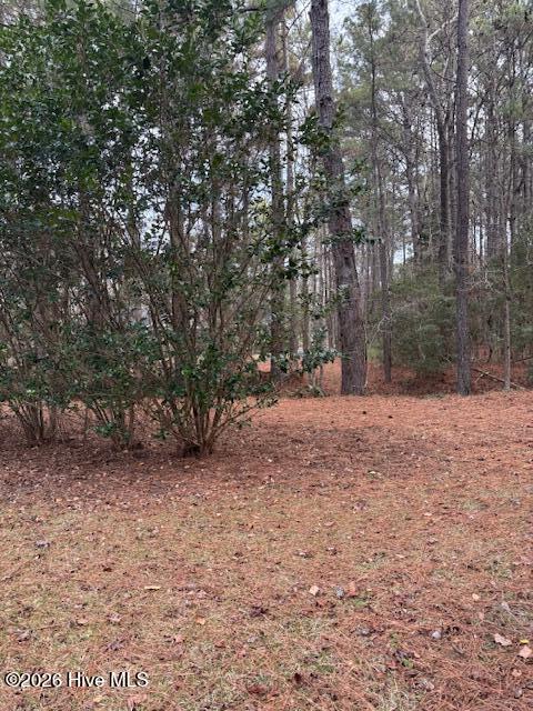 100553362 | Photo 36