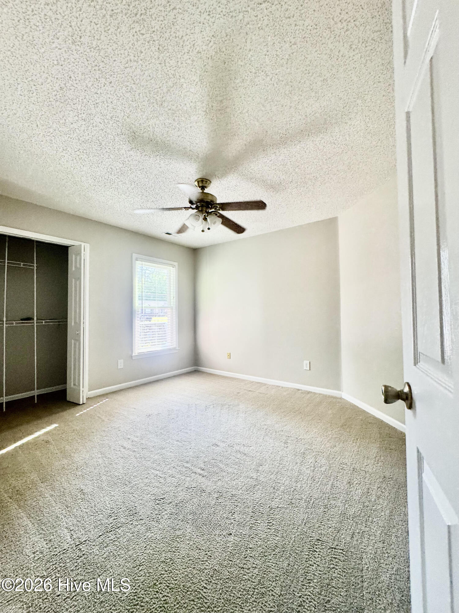 100568535 | Photo 20