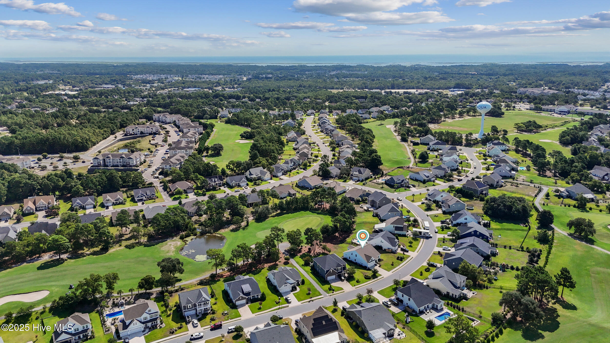 100521599 | Photo 48