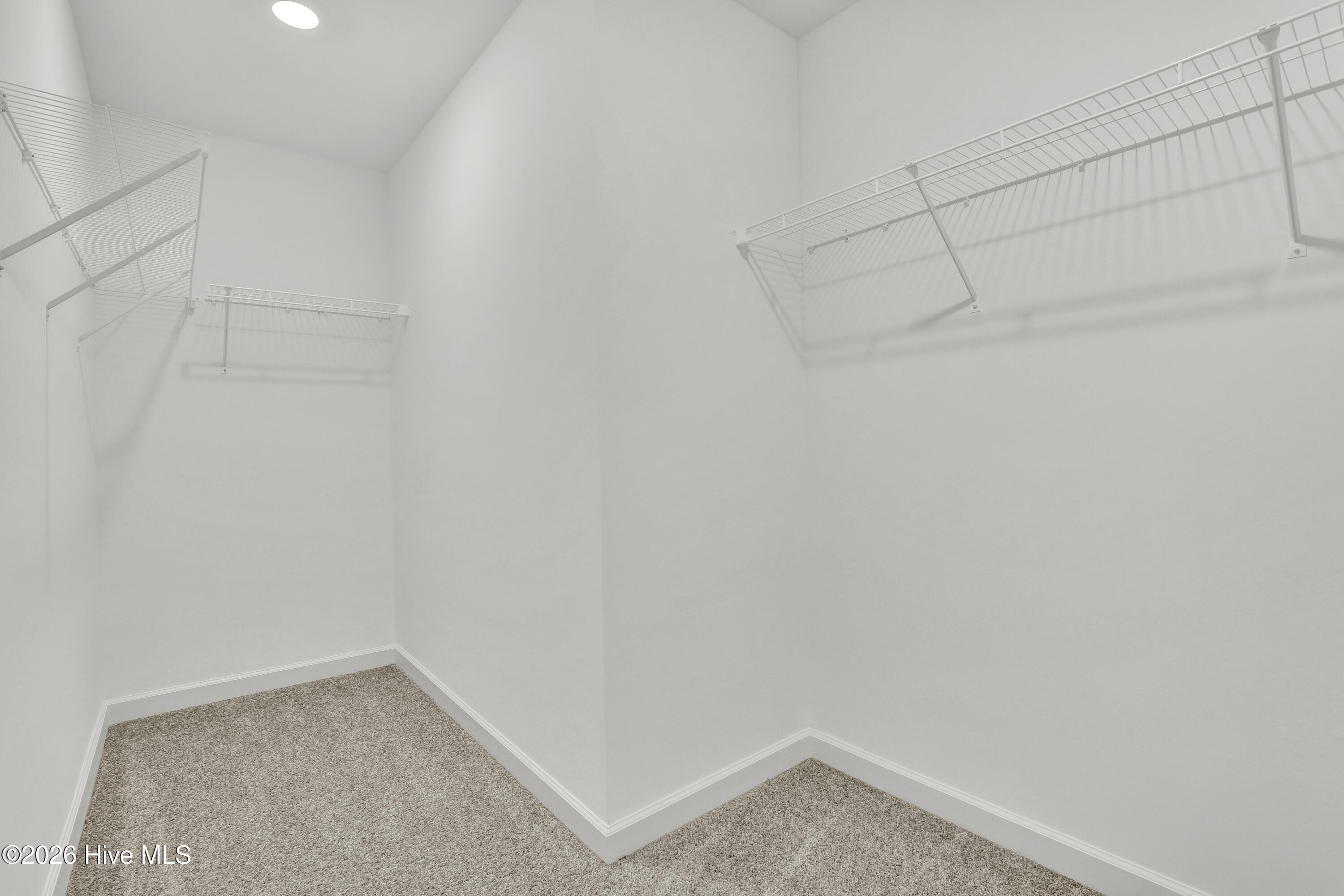 100509552 | Photo 19