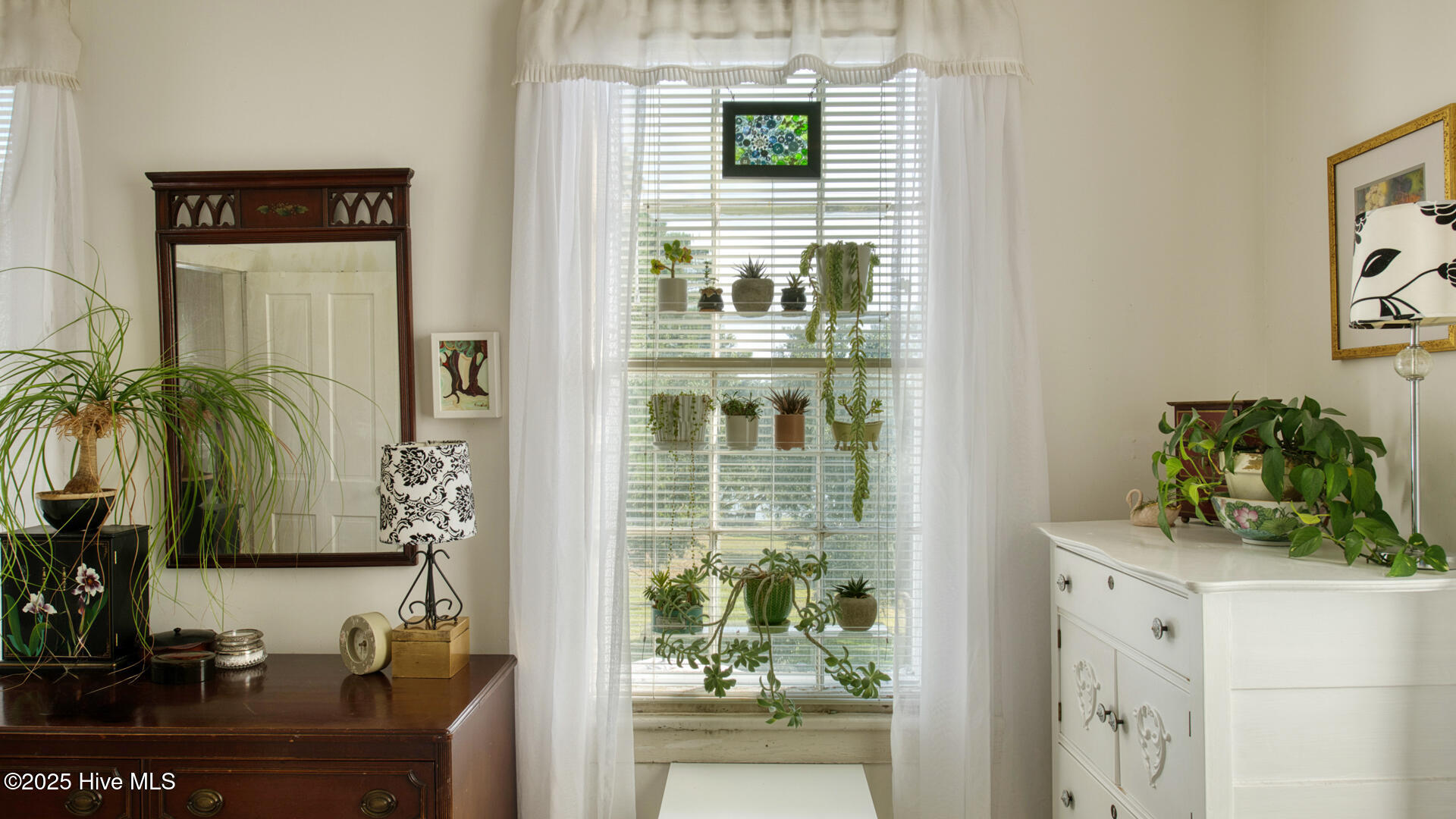 100535774 | Photo 47