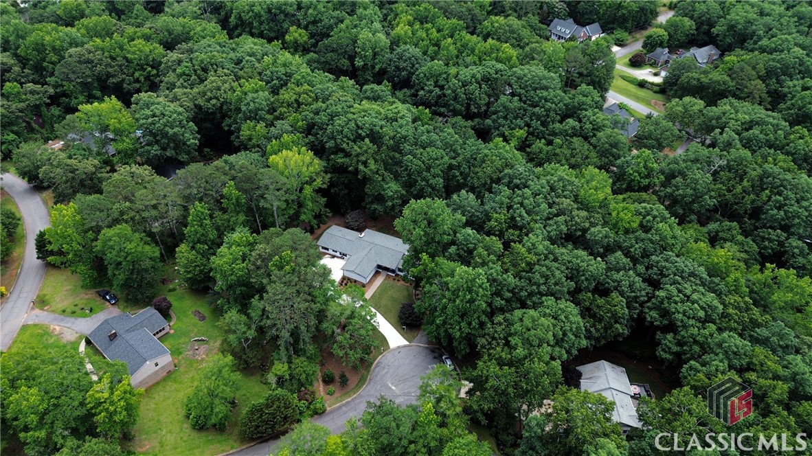 1041 Hollow Creek Way