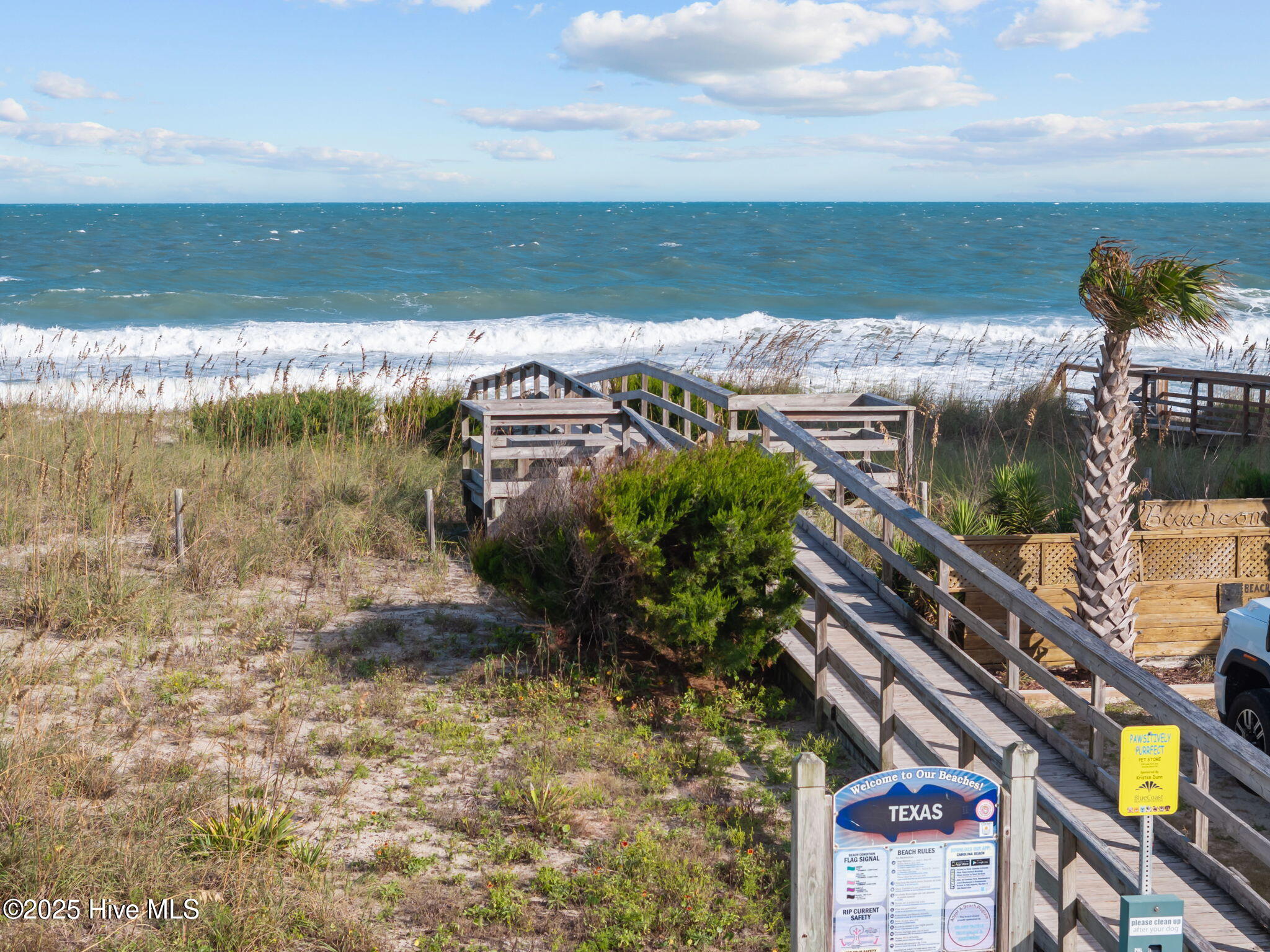 100534749 | Photo 71