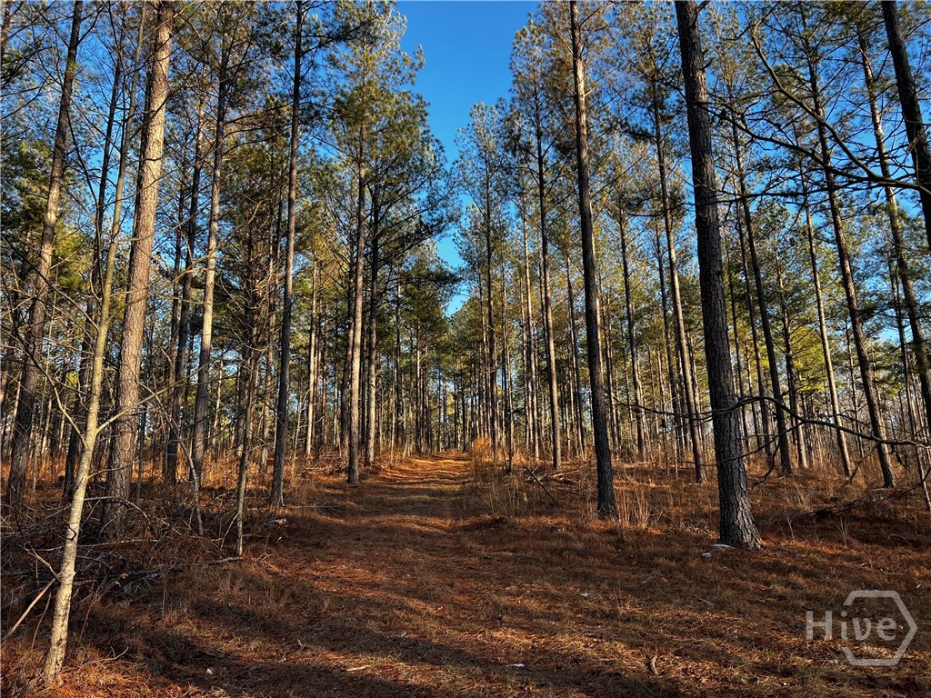 2285 Cherokee Road, Comer, GA, 30629