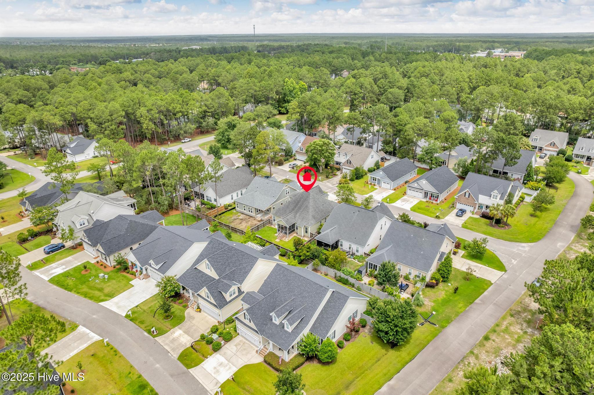 100513832 | Photo 46