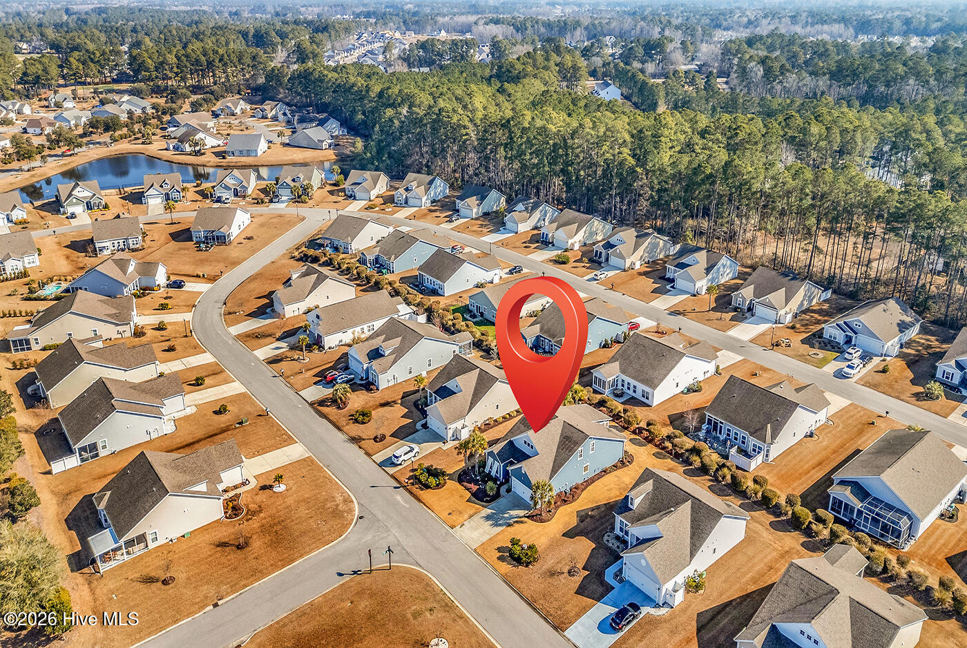 100553360 | Photo 42