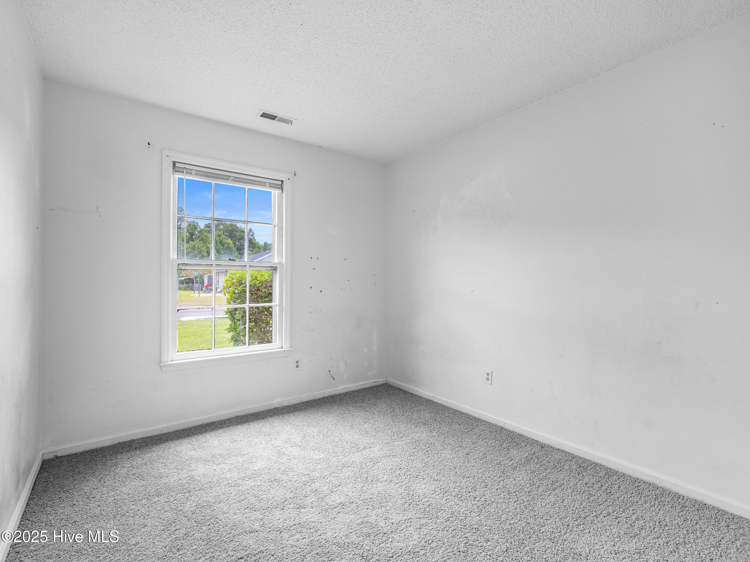 100521446 | Photo 25