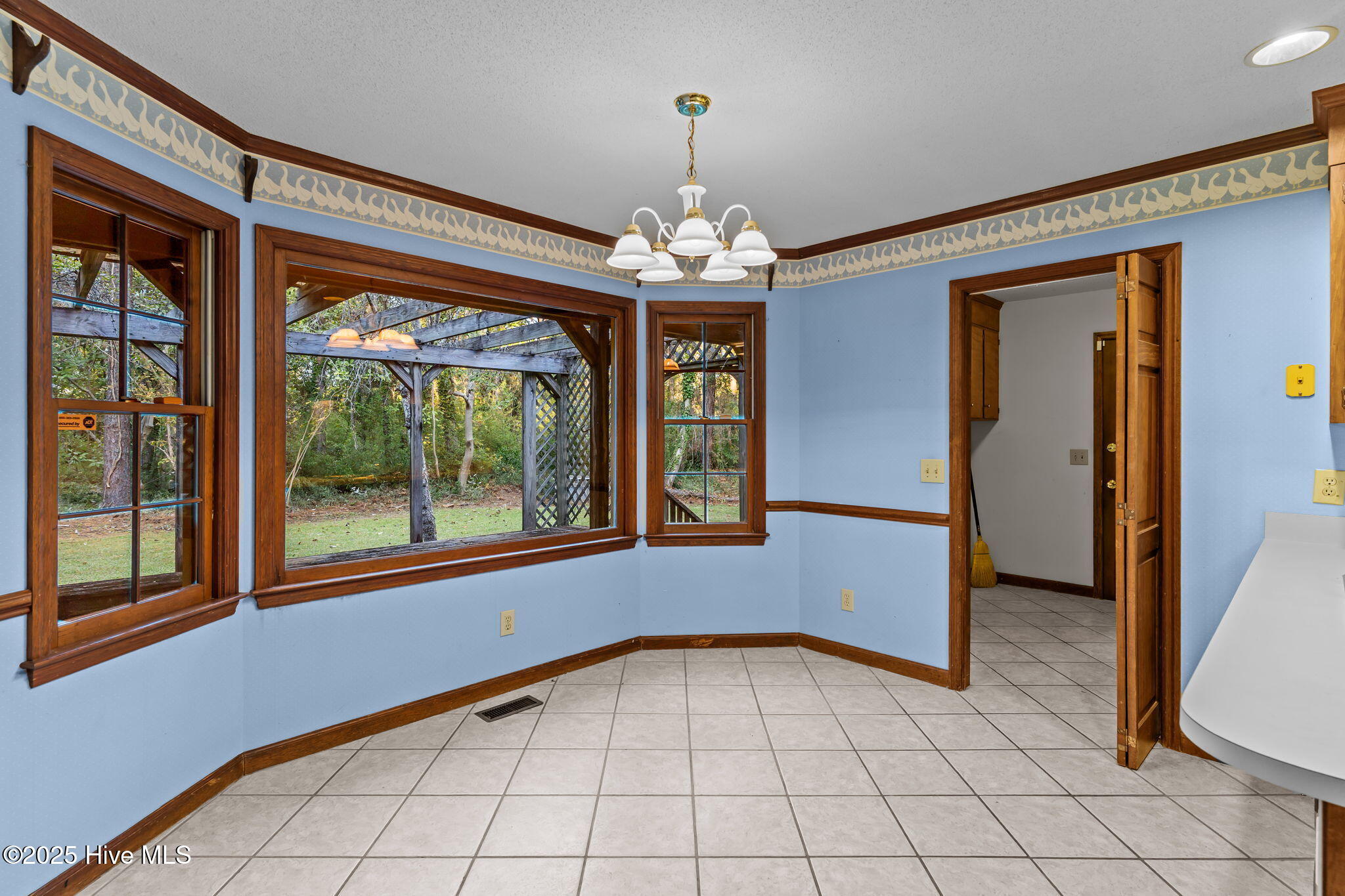 100540294 | Photo 19