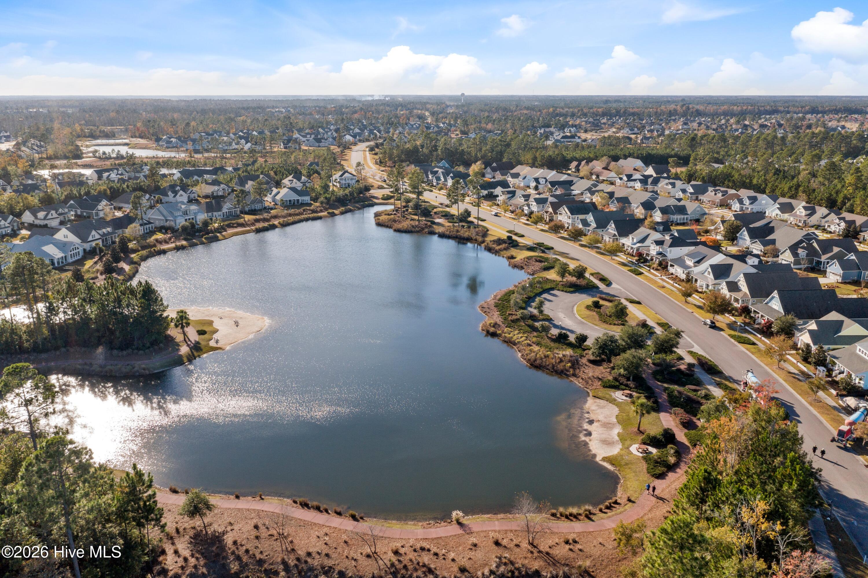 100558174 | Photo 56