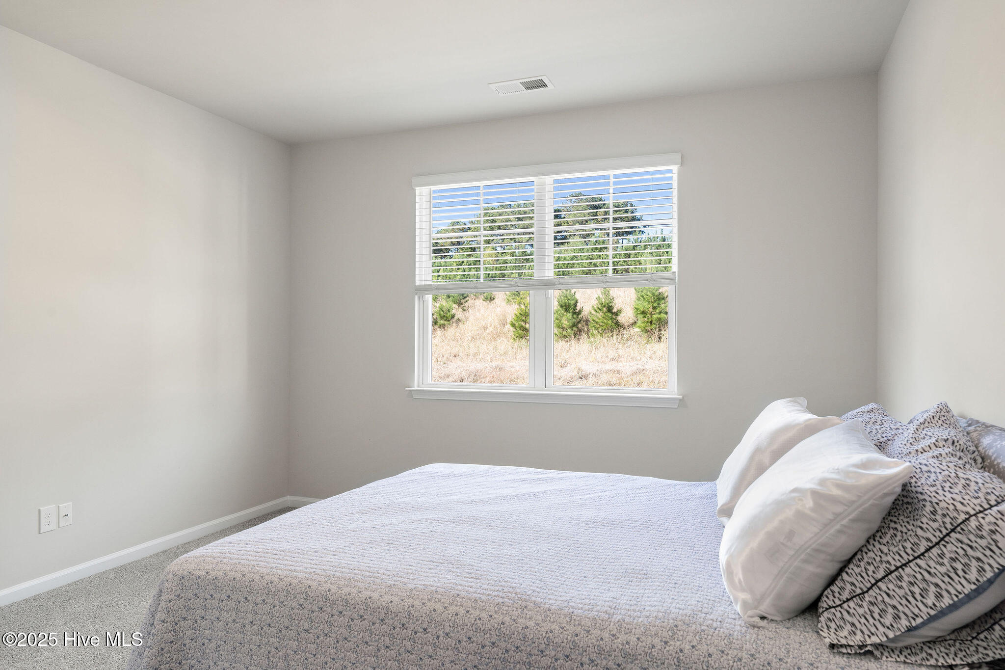 100539912 | Photo 26