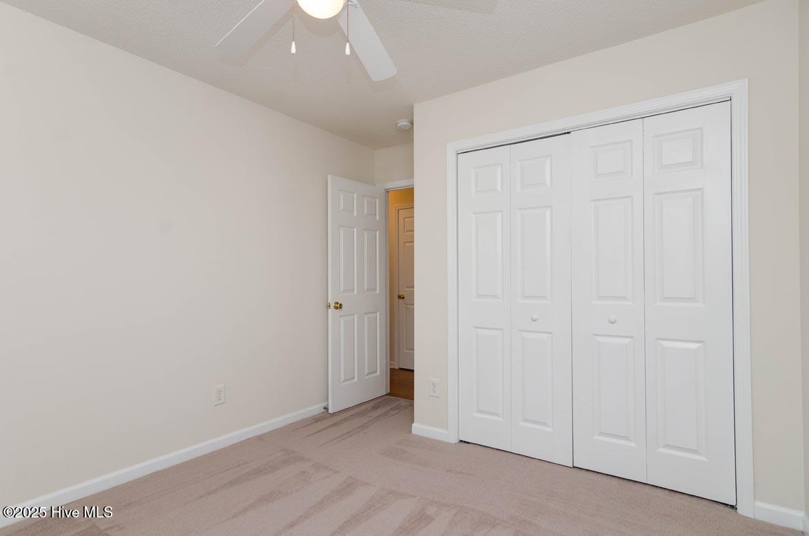 100562250 | Photo 15