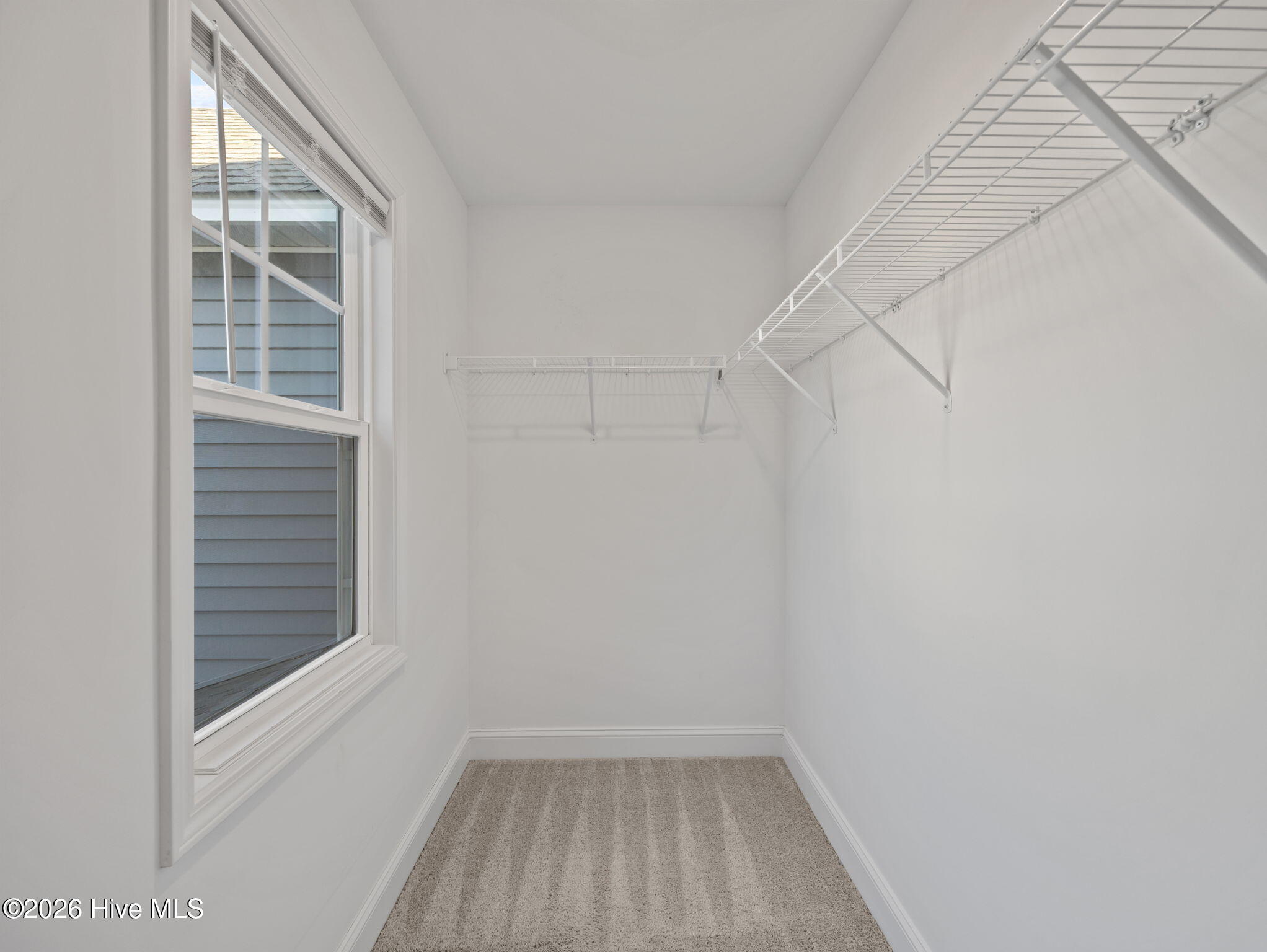 100565324 | Photo 30