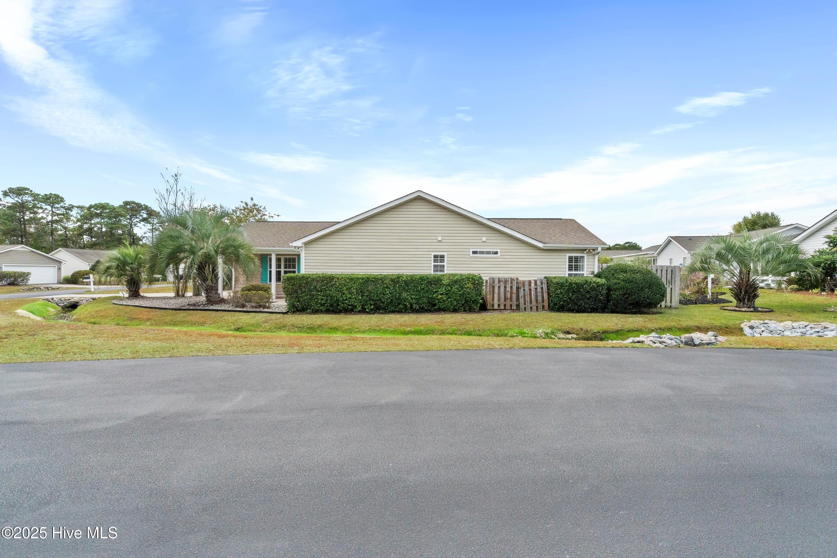 100538877 | Photo 39