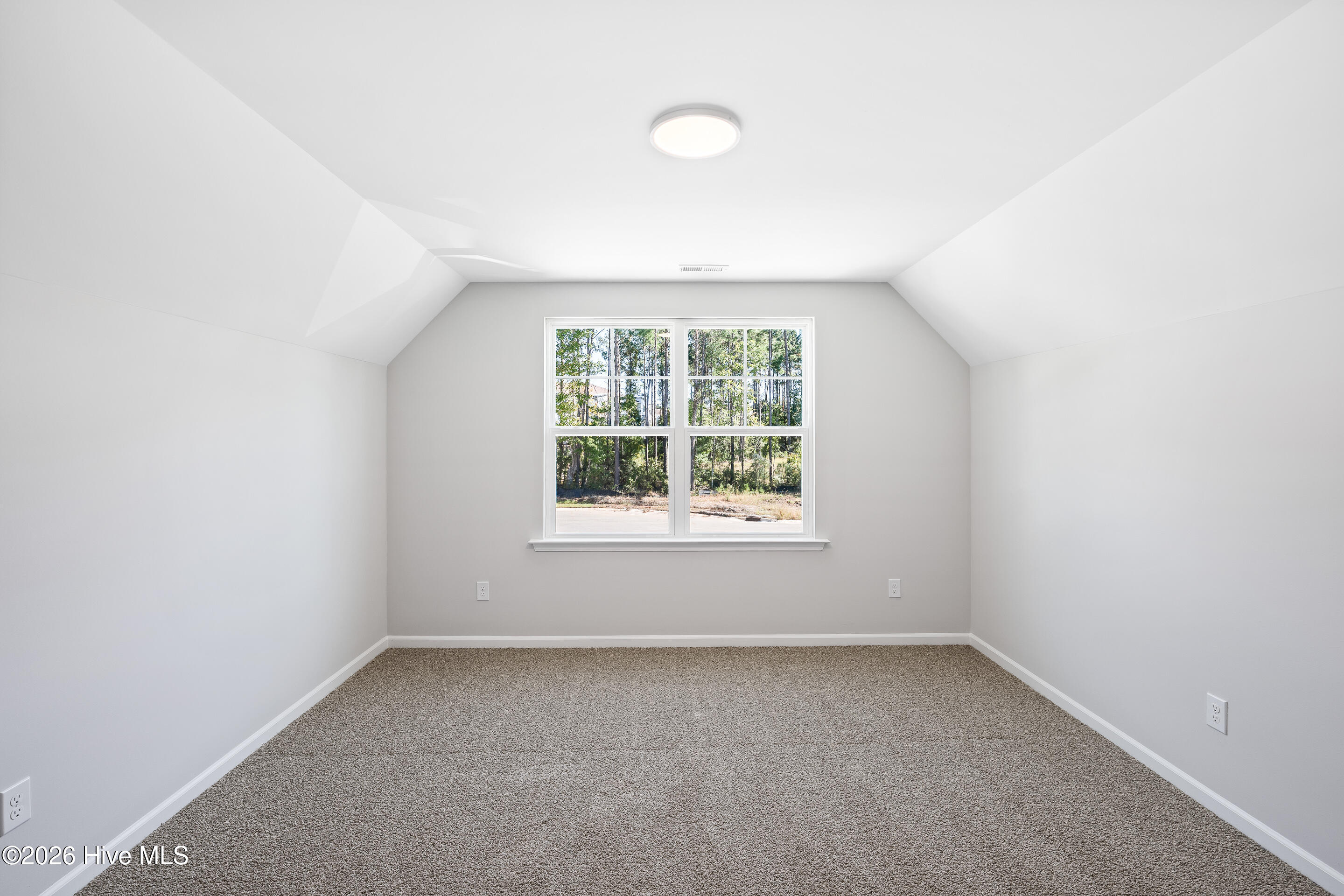 100552787 | Photo 22