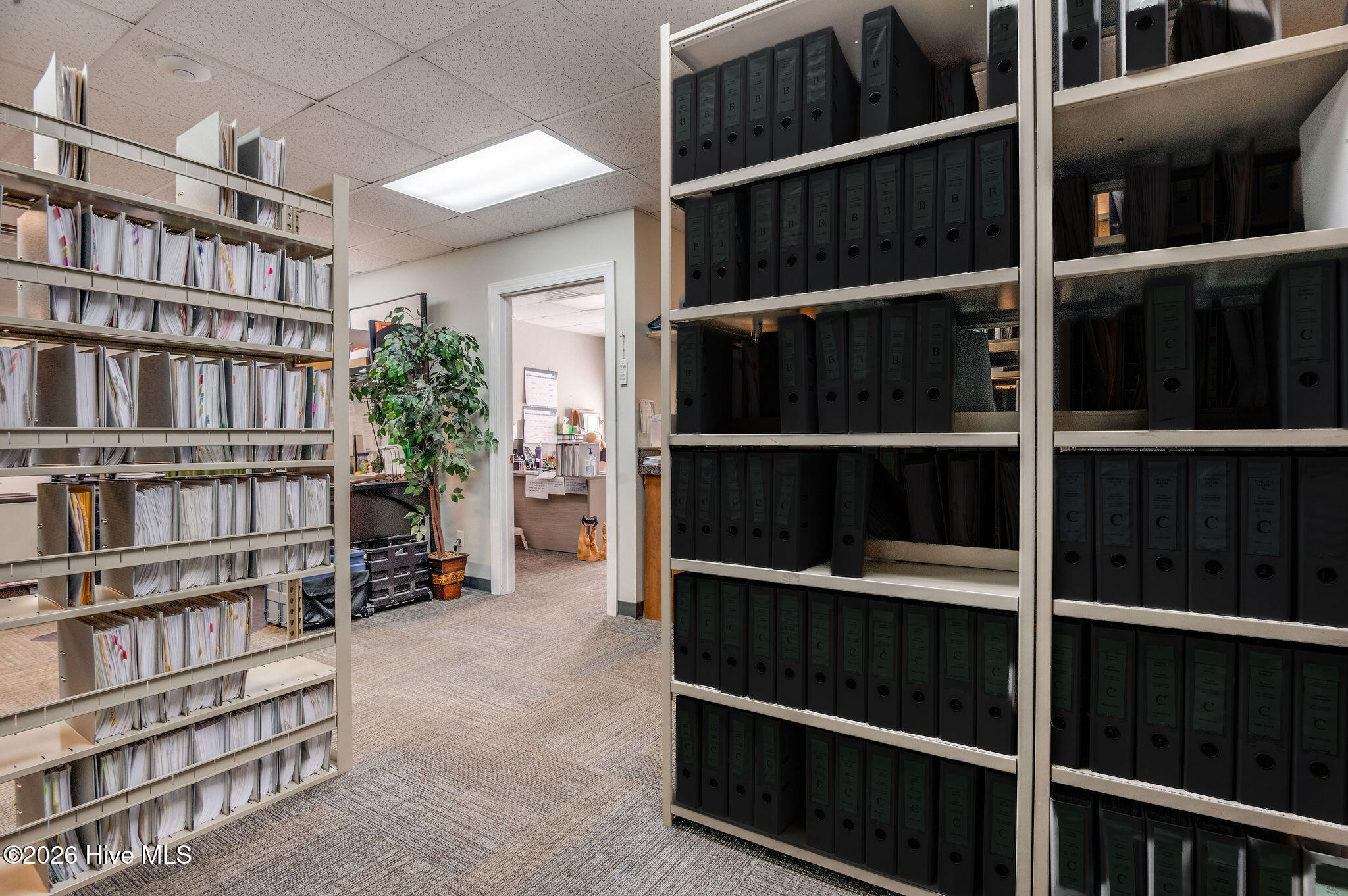 112 Old Bridge Street, Jacksonville, NC, 28540