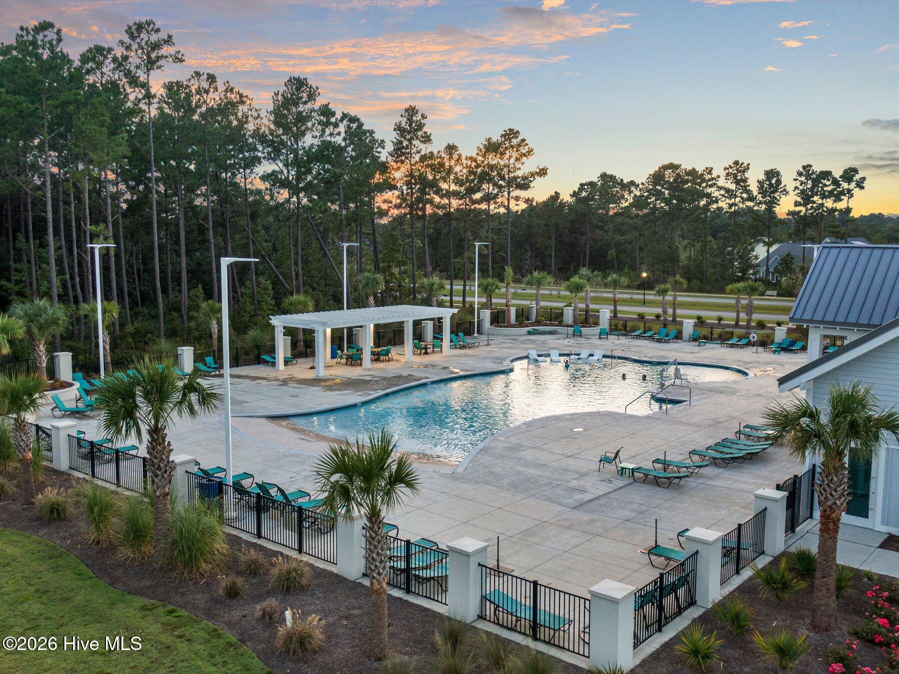 100558018 | Photo 60