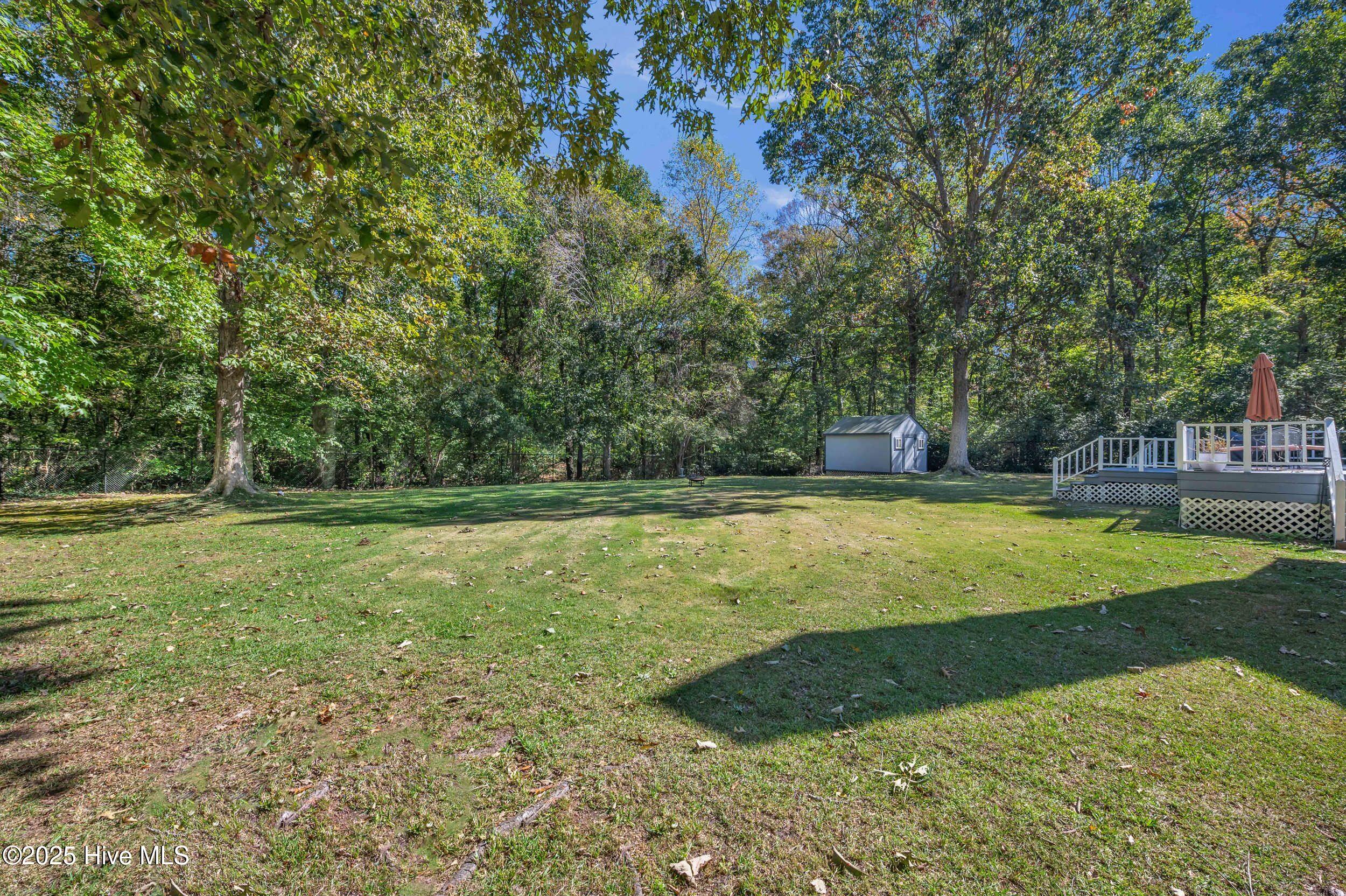 100537583 | Photo 42