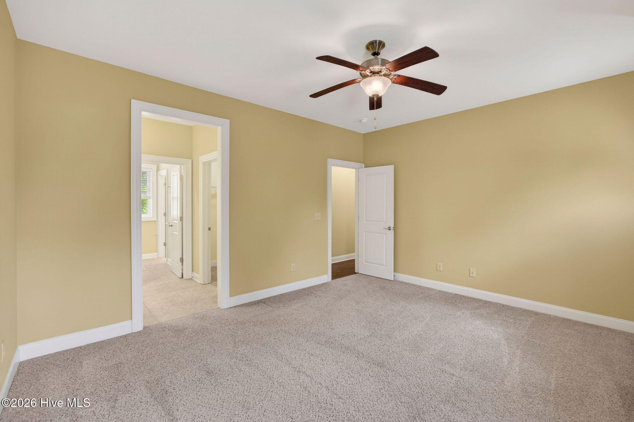 100566414 | Photo 58