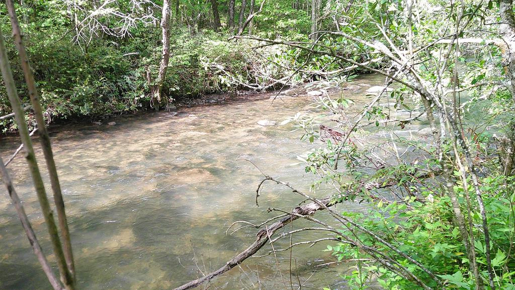 00 Mcdonald, Murphy, North Carolina, 0 ,For sale,Mcdonald,98544501 00 Mcdonald, Murphy, North Carolina, 0 ,For sale,Mcdonald,98544501
